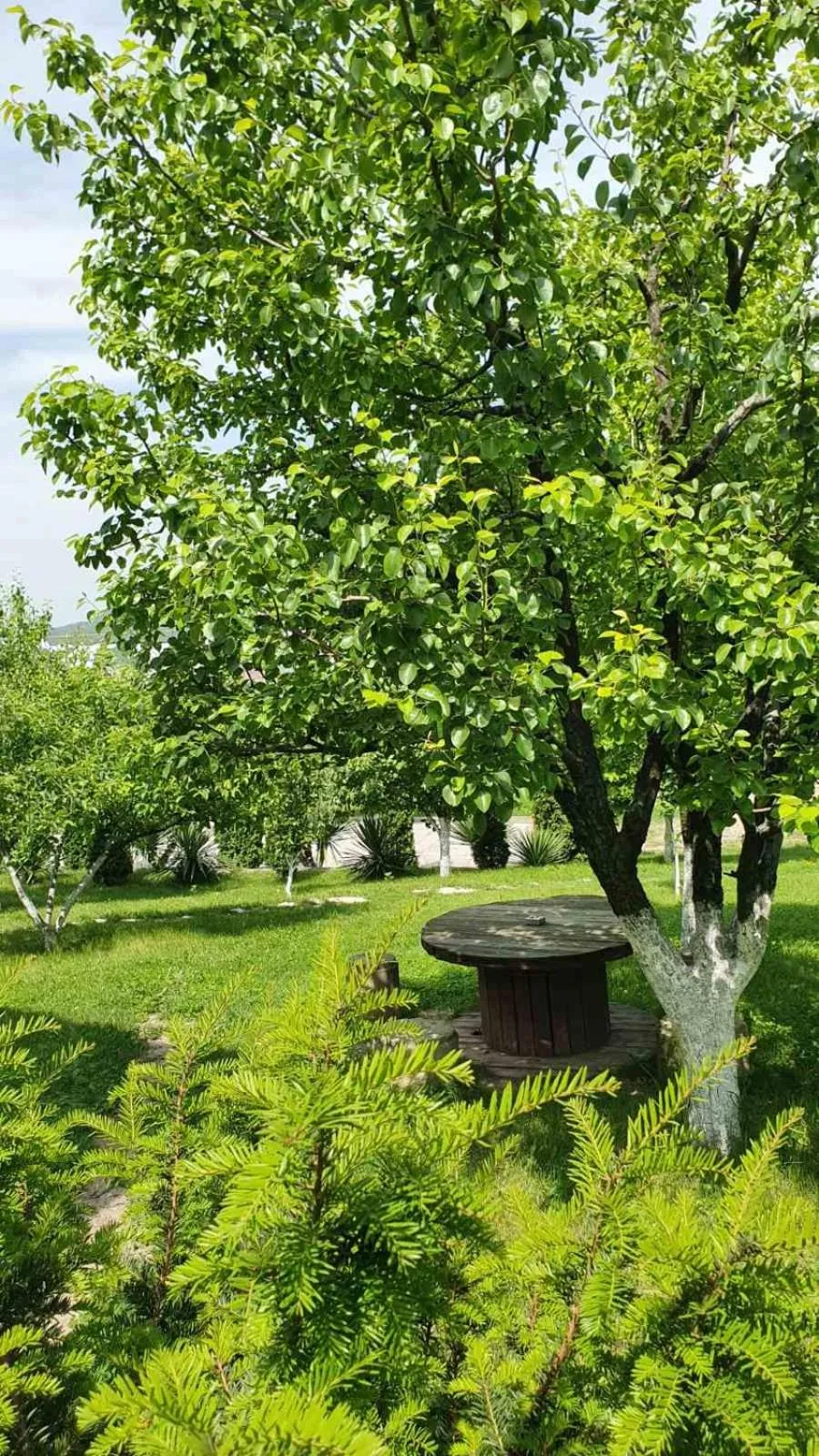 Spring in Guest House Ijevan's Garden