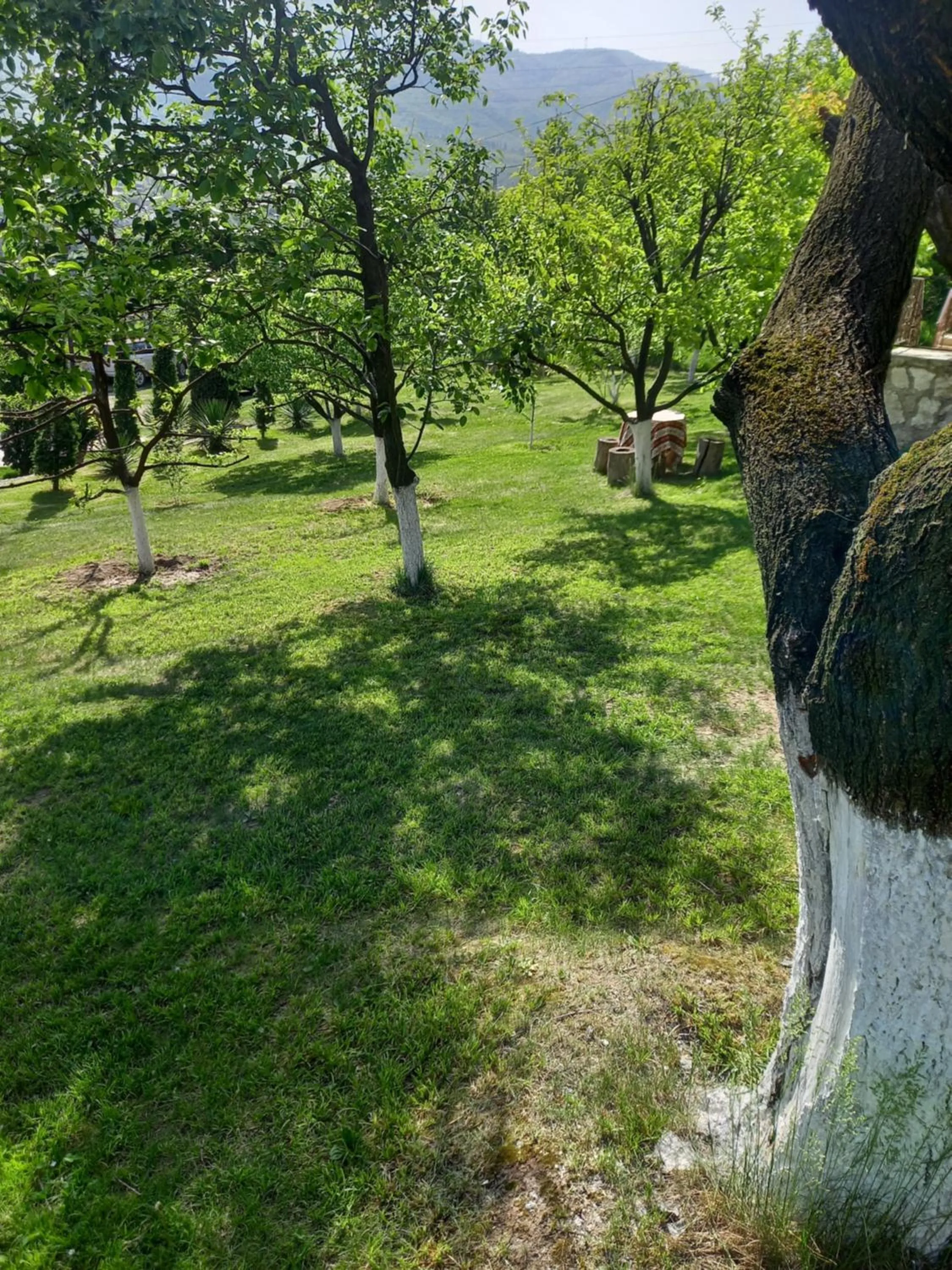 Nearby landmark in Guest House Ijevan's Garden