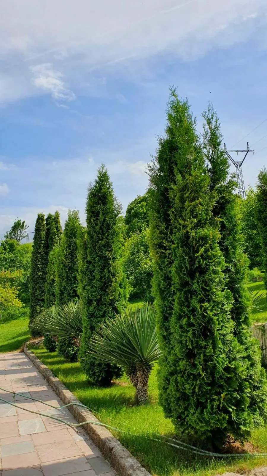 Spring in Guest House Ijevan's Garden