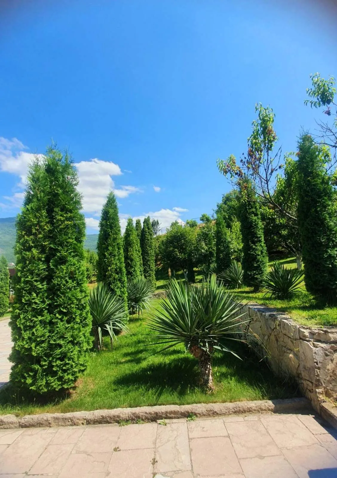 Spring in Guest House Ijevan's Garden