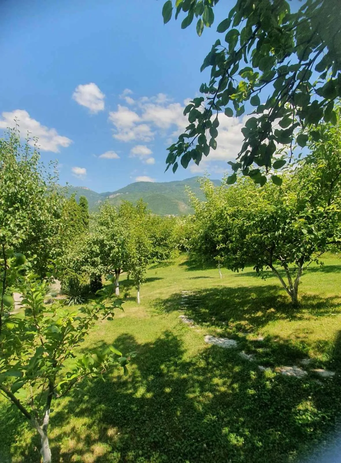 Nearby landmark in Guest House Ijevan's Garden