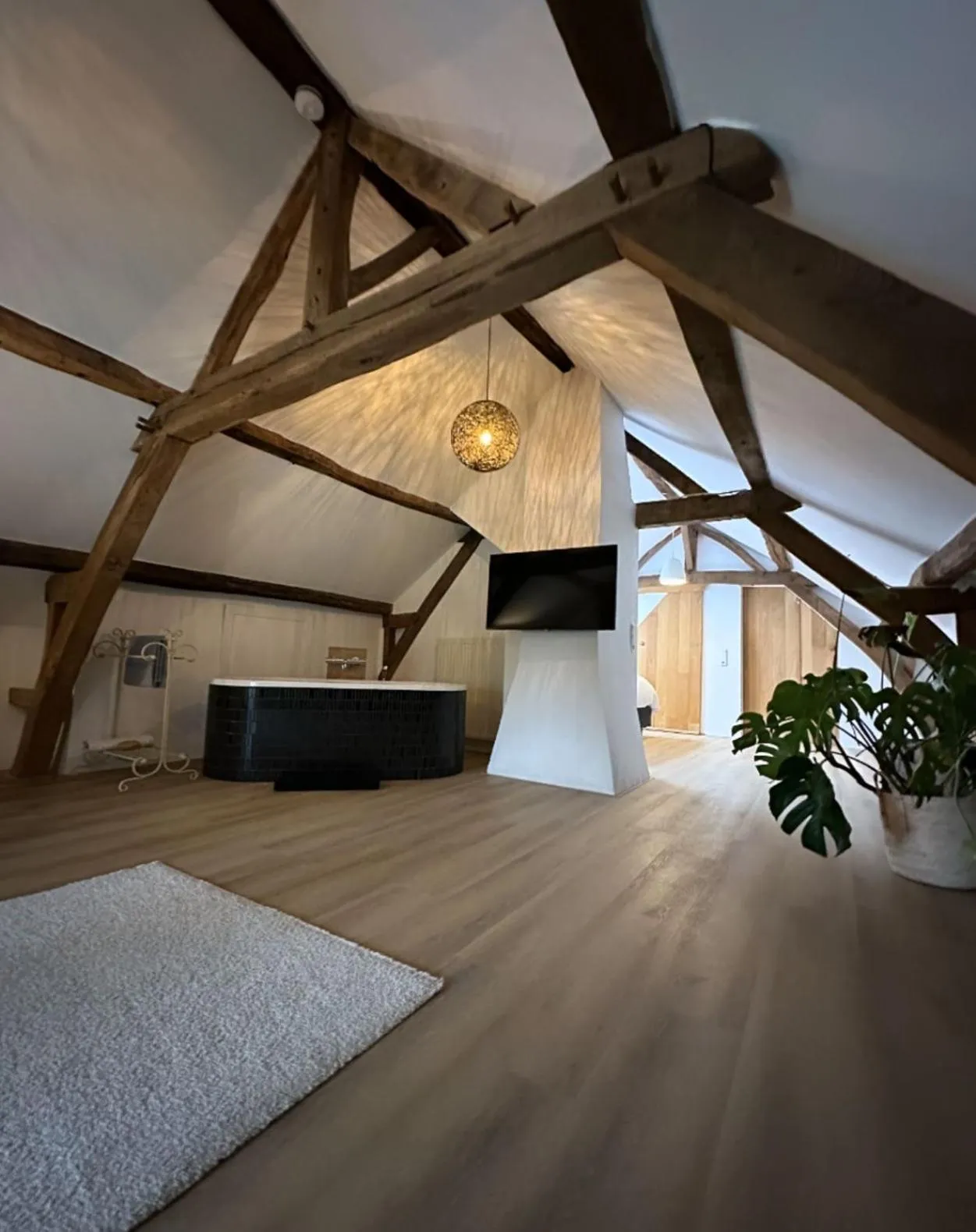 TV and multimedia in Hoeve Berghof