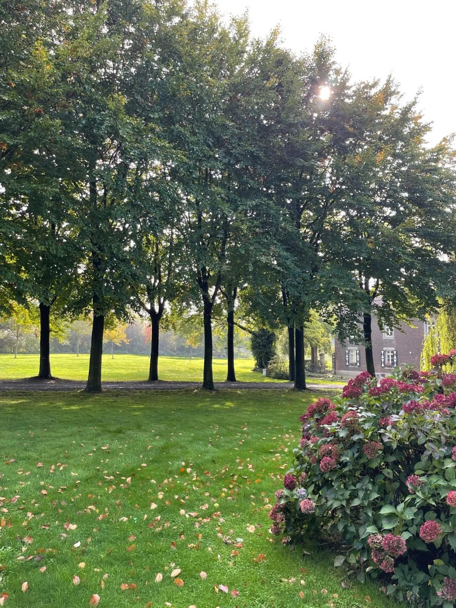 Day in Hoeve Berghof