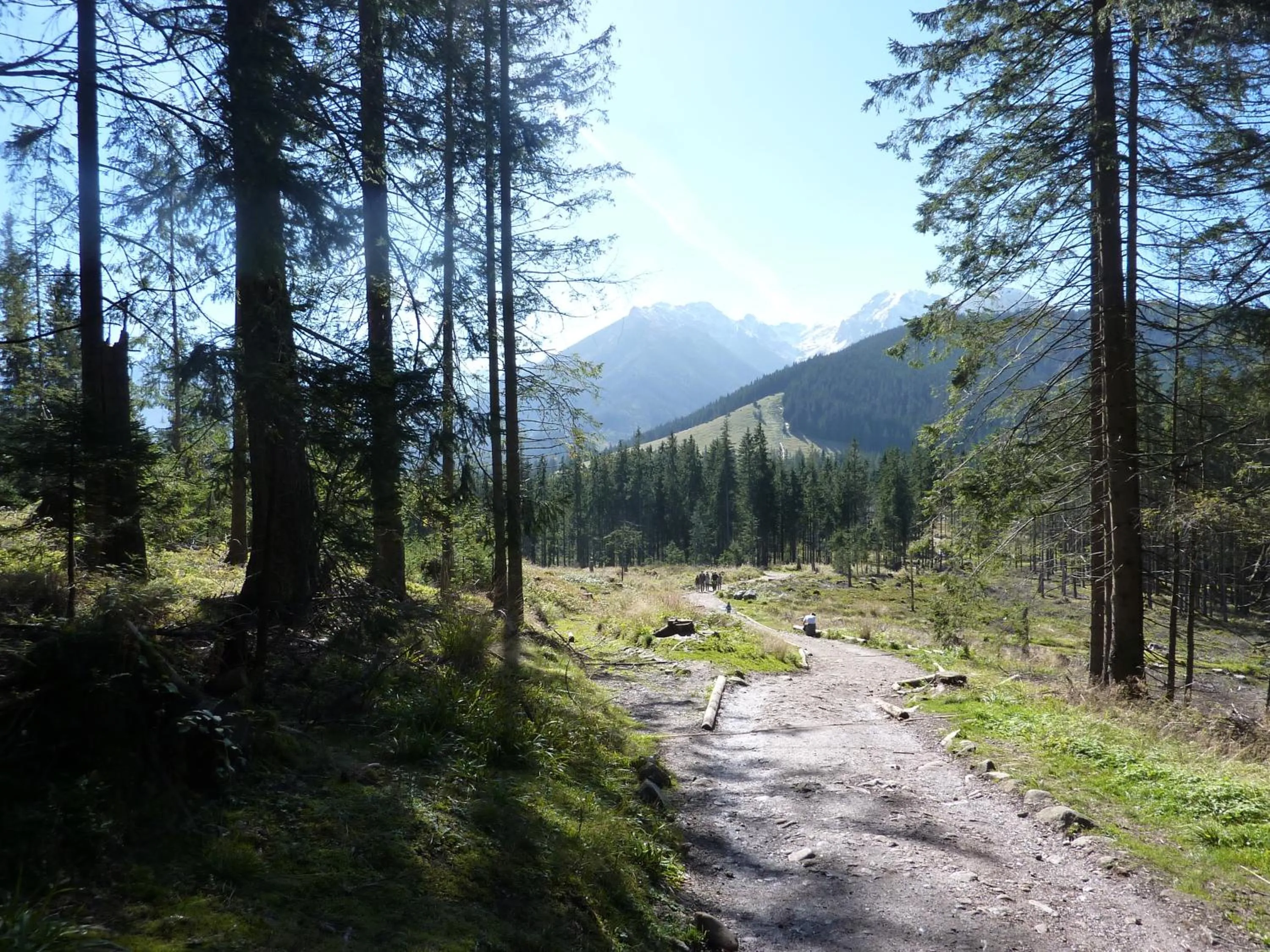 Hiking in Willa Litka