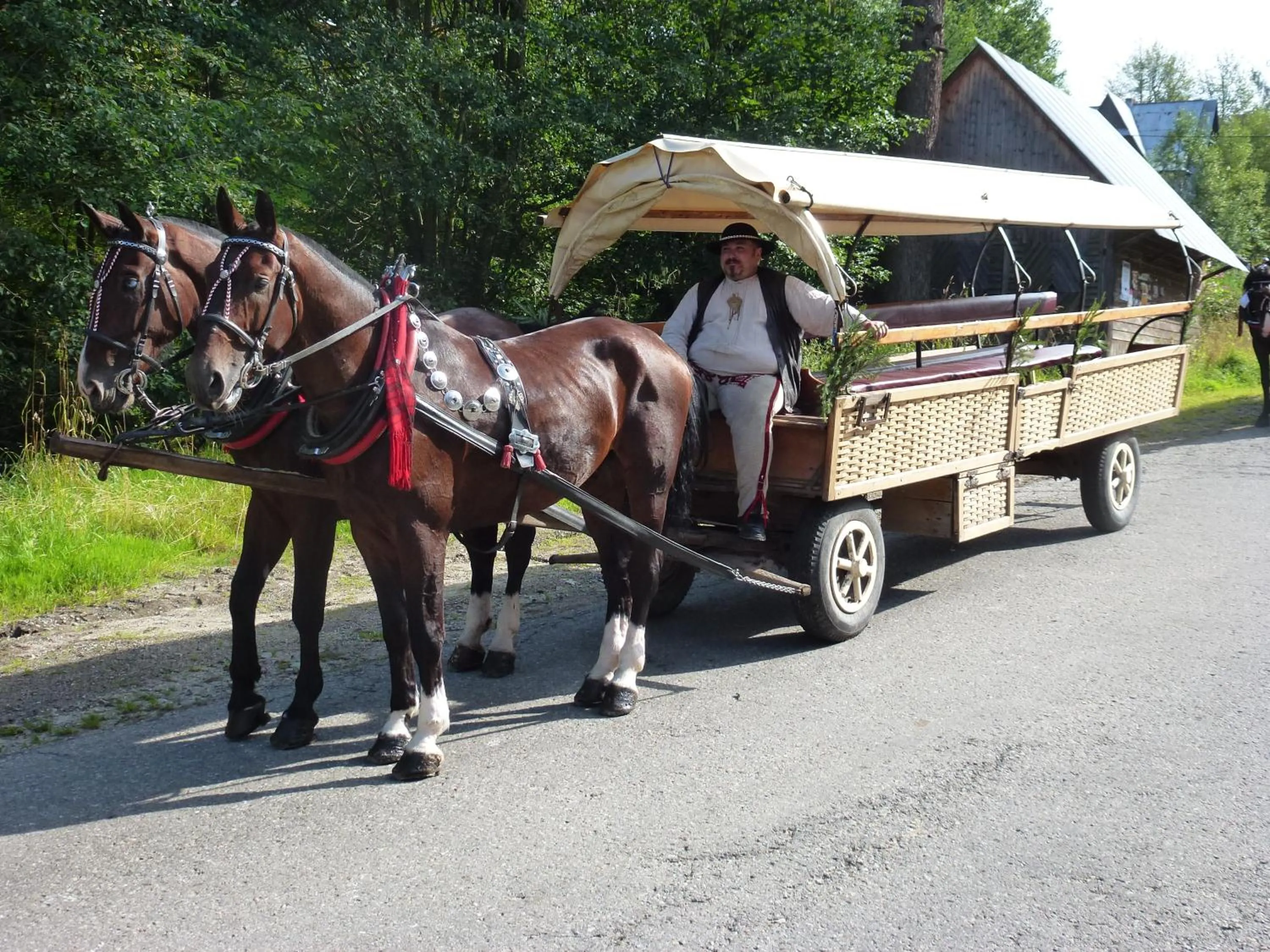 Area and facilities in Willa Litka