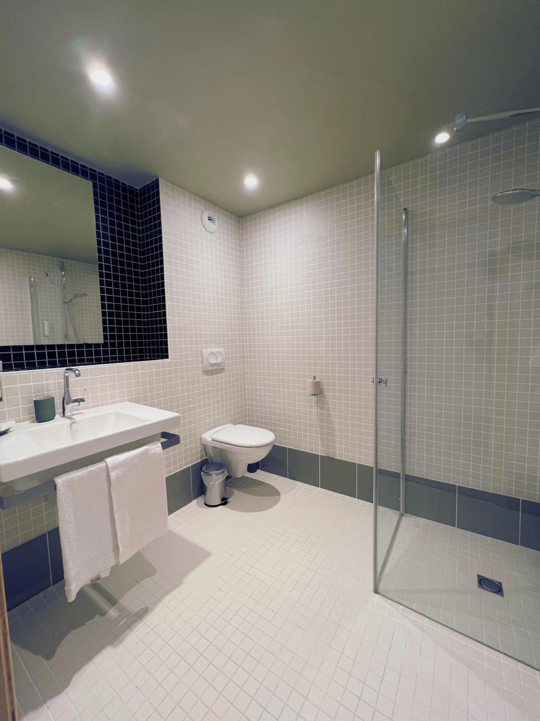 Bathroom in Logis Hôtel Altitude et Spa Pierre-Percée