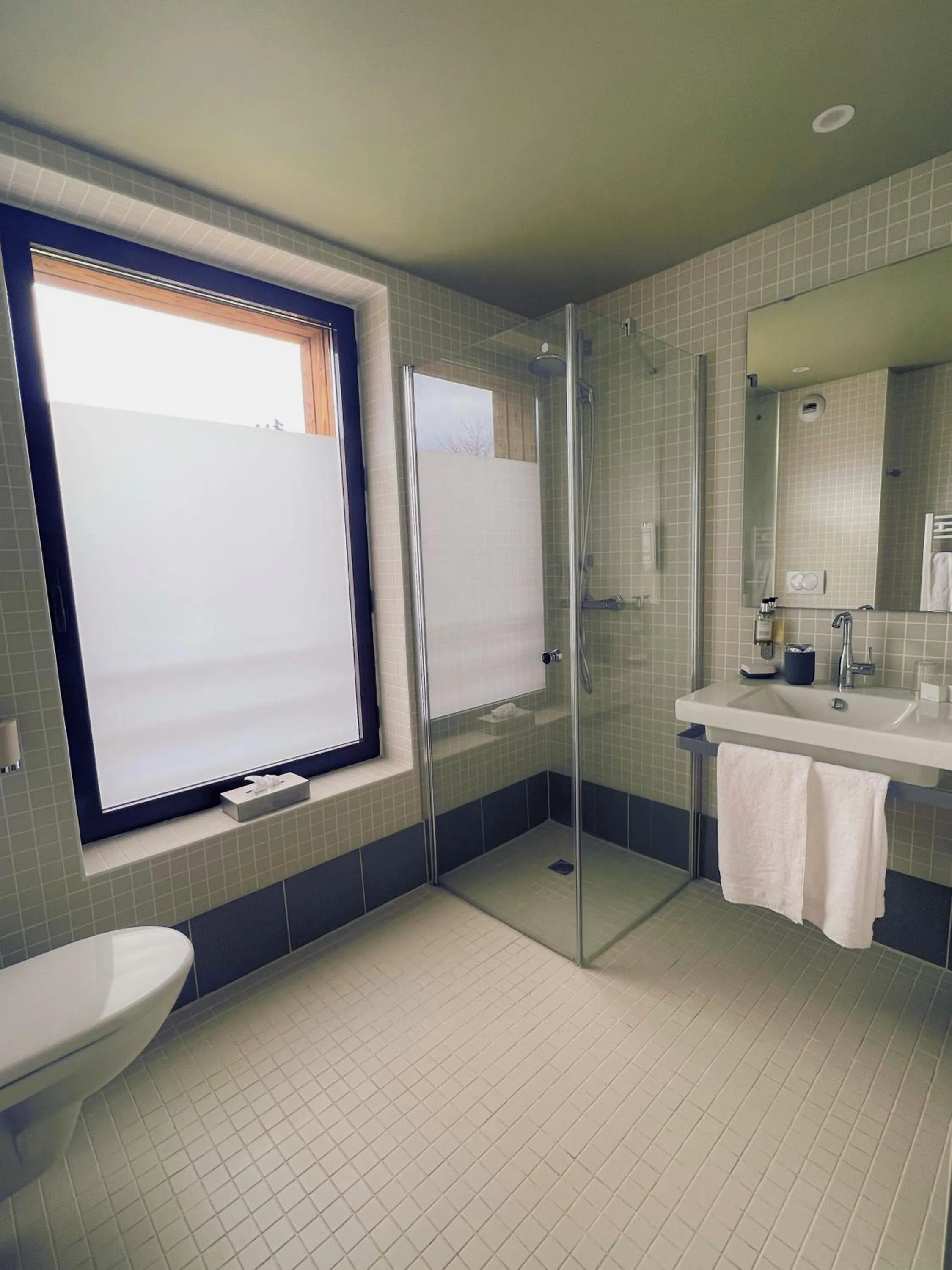 Bathroom in Logis Hôtel Altitude et Spa Pierre-Percée