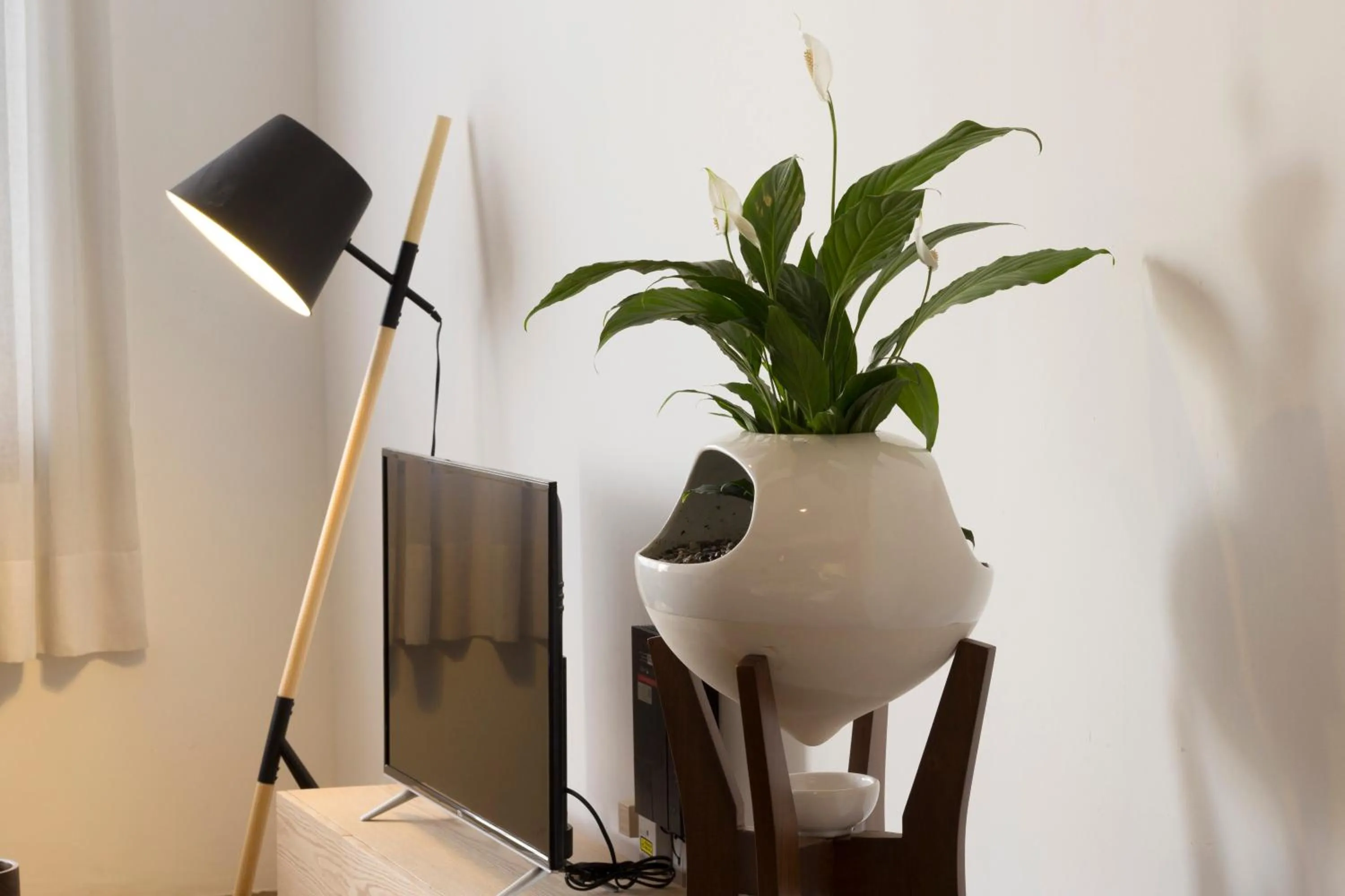 Communal lounge/ TV room in El Doce by HomiRent