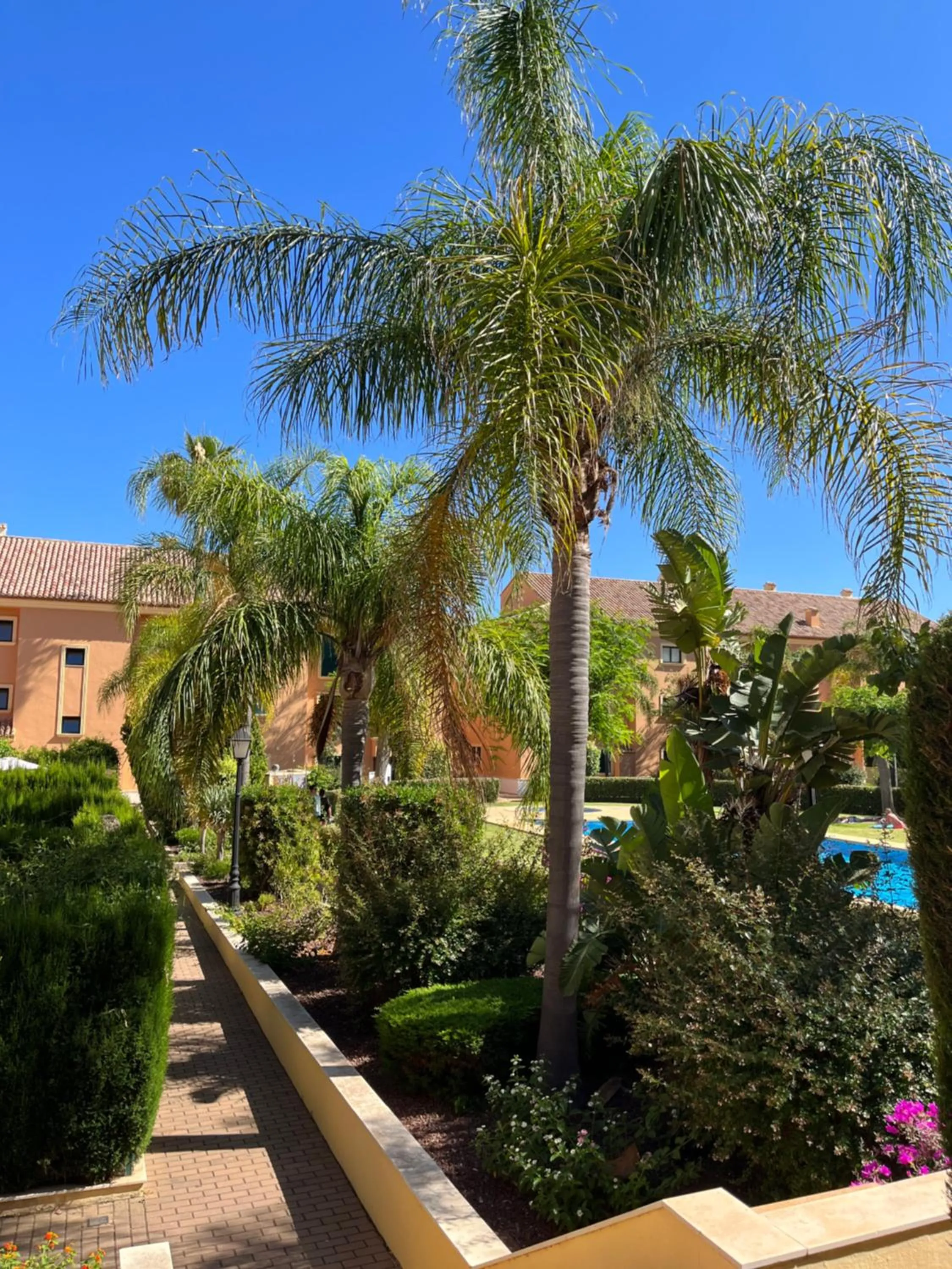 Garden in apartment nearby beach and old town Javea