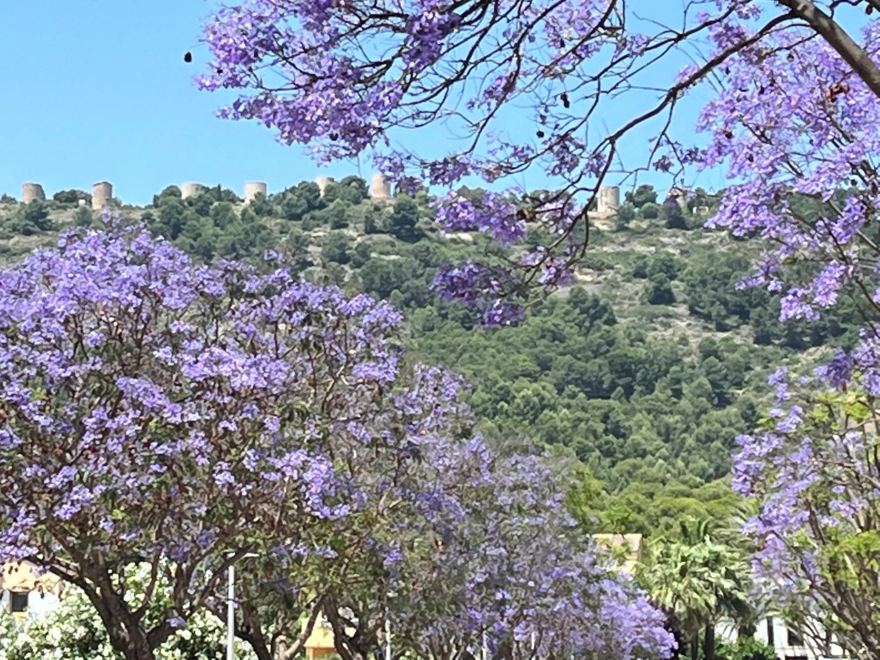 Natural landscape in apartment nearby beach and old town Javea