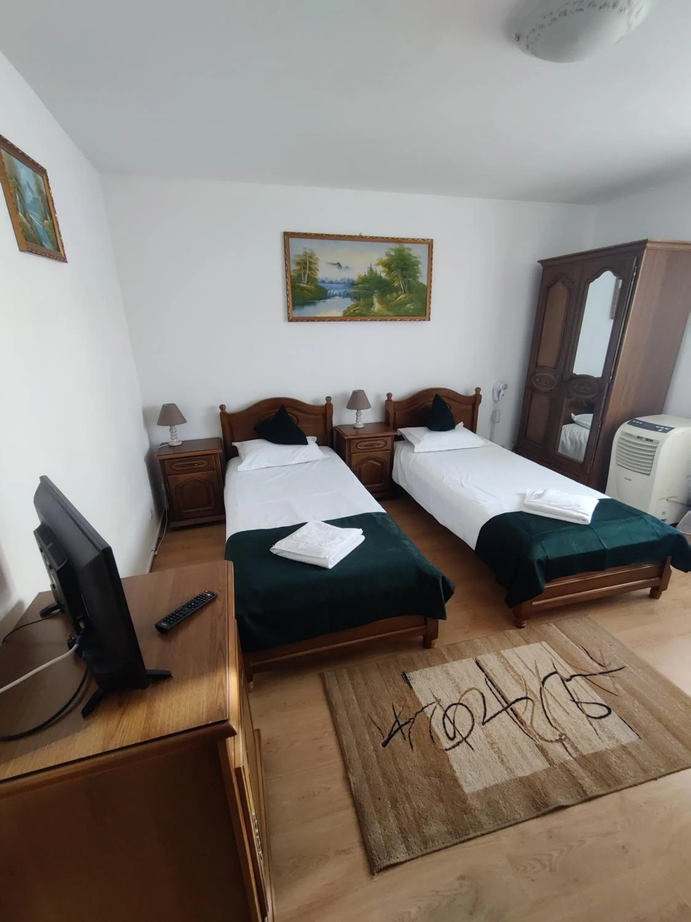 Twin Room in Pensiunea Viena