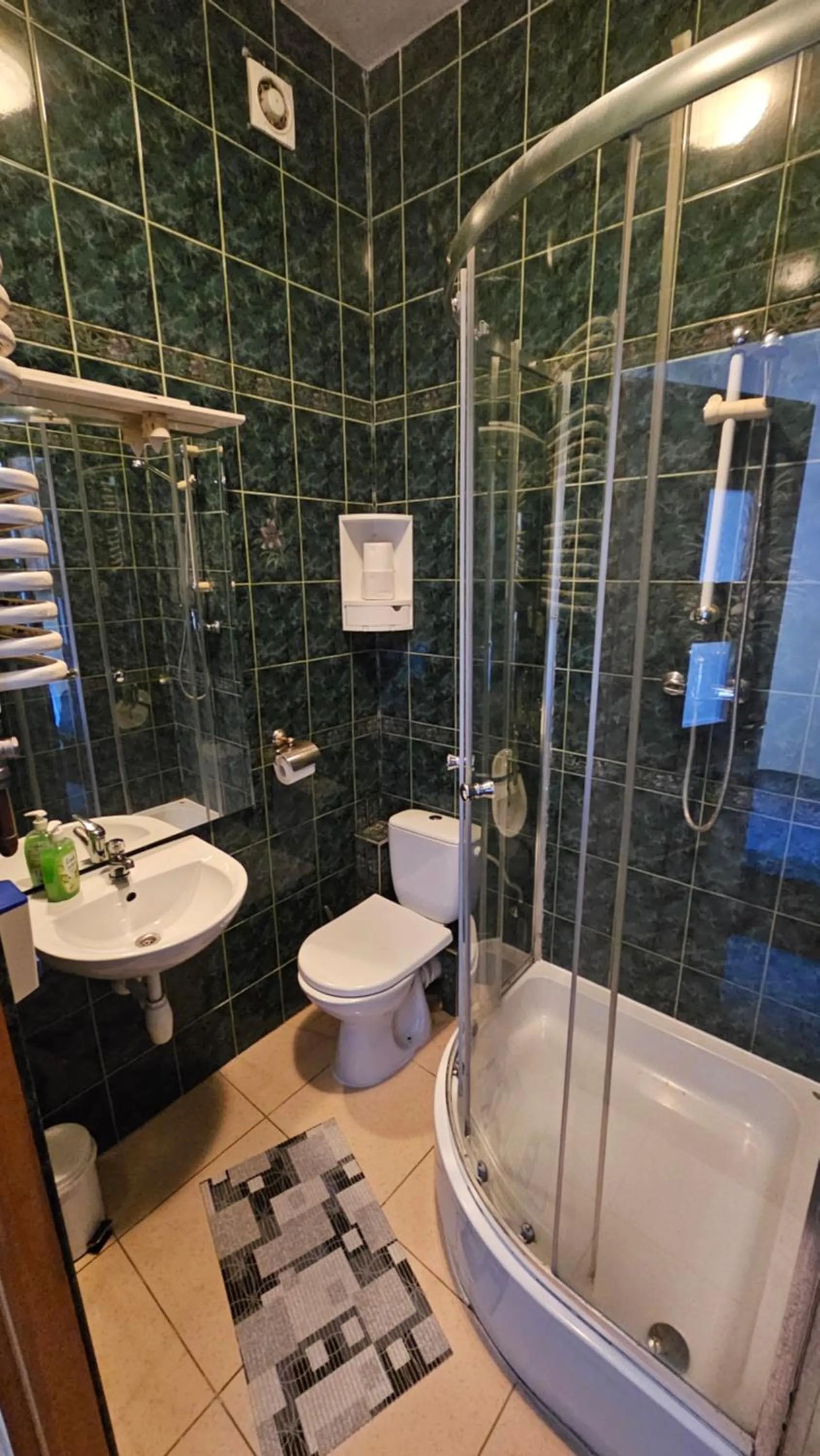 Shower in Hotel Daisy Budget