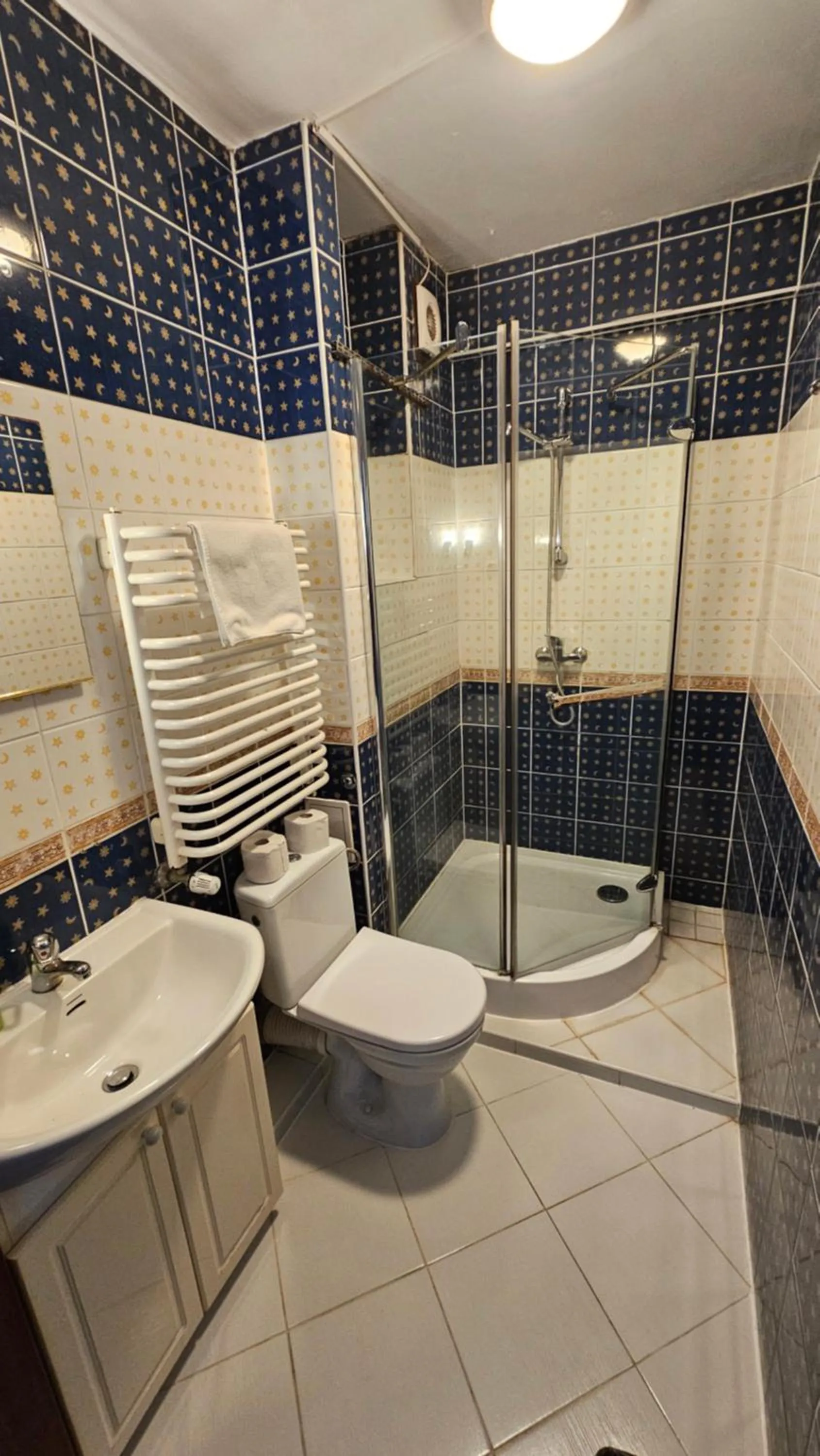 Shower in Hotel Daisy Budget