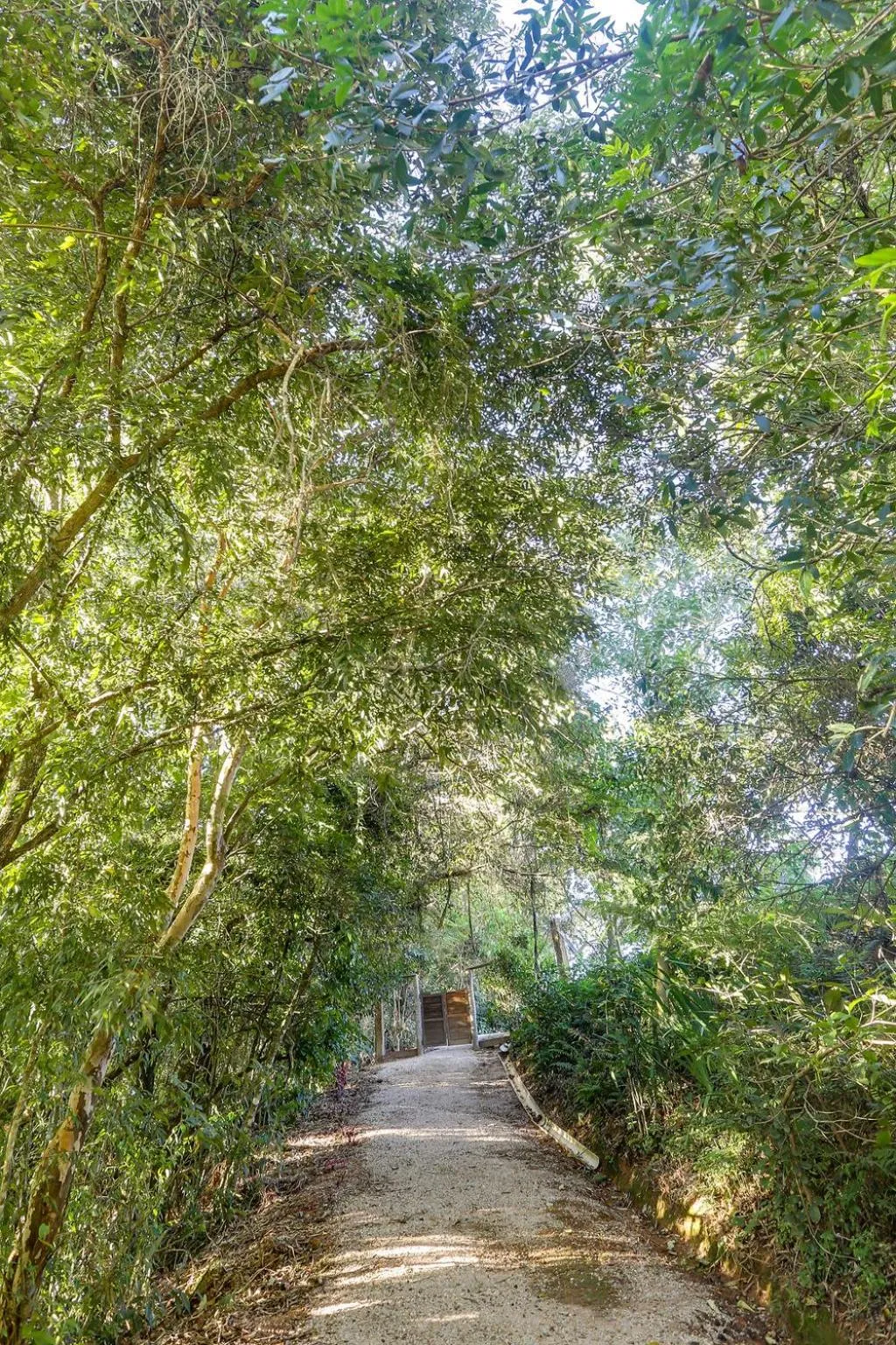 Natural landscape in Pousada Trem Chic