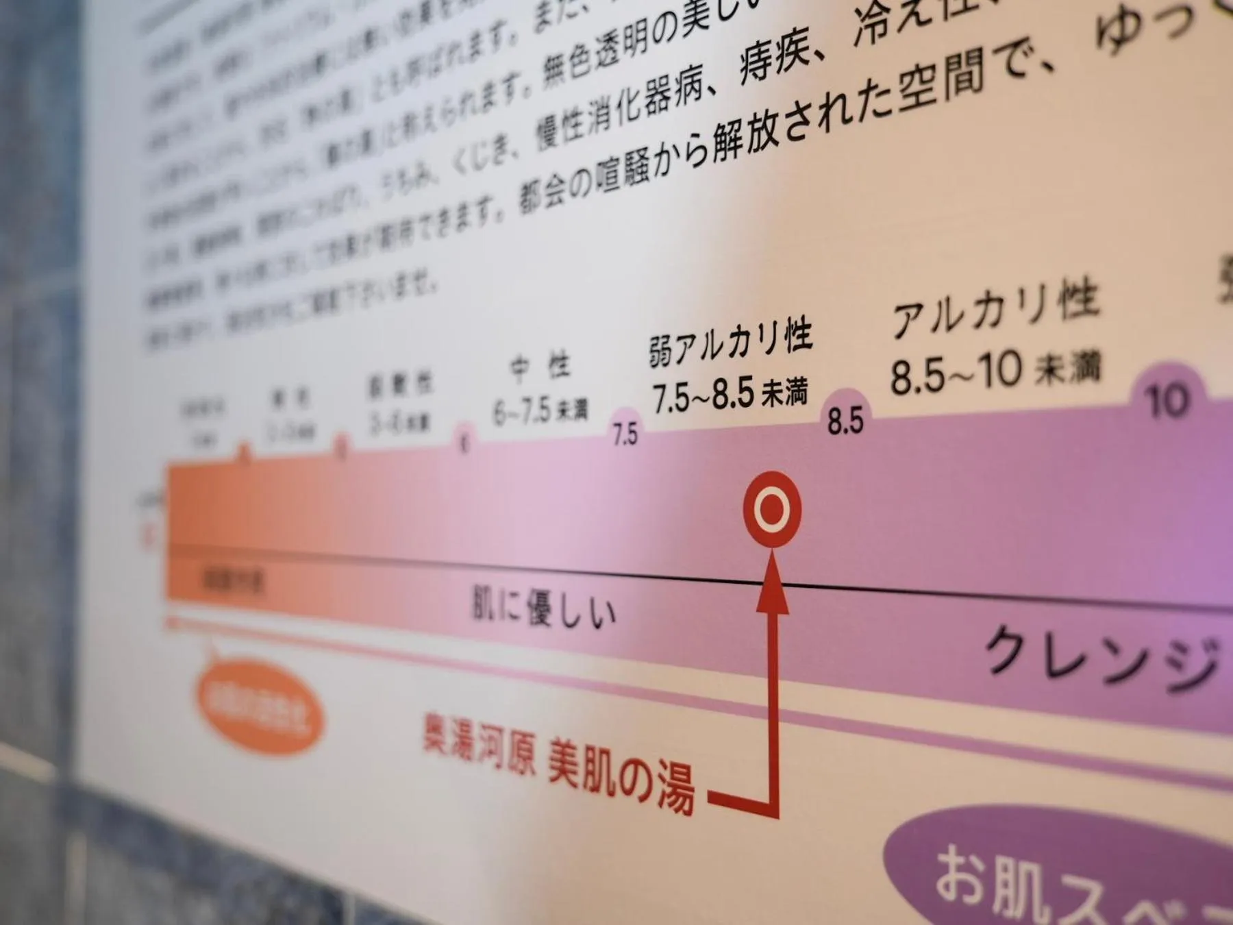 Hot Spring Bath in Super Hotel Premier Ikebukuro Natural Hot Spring