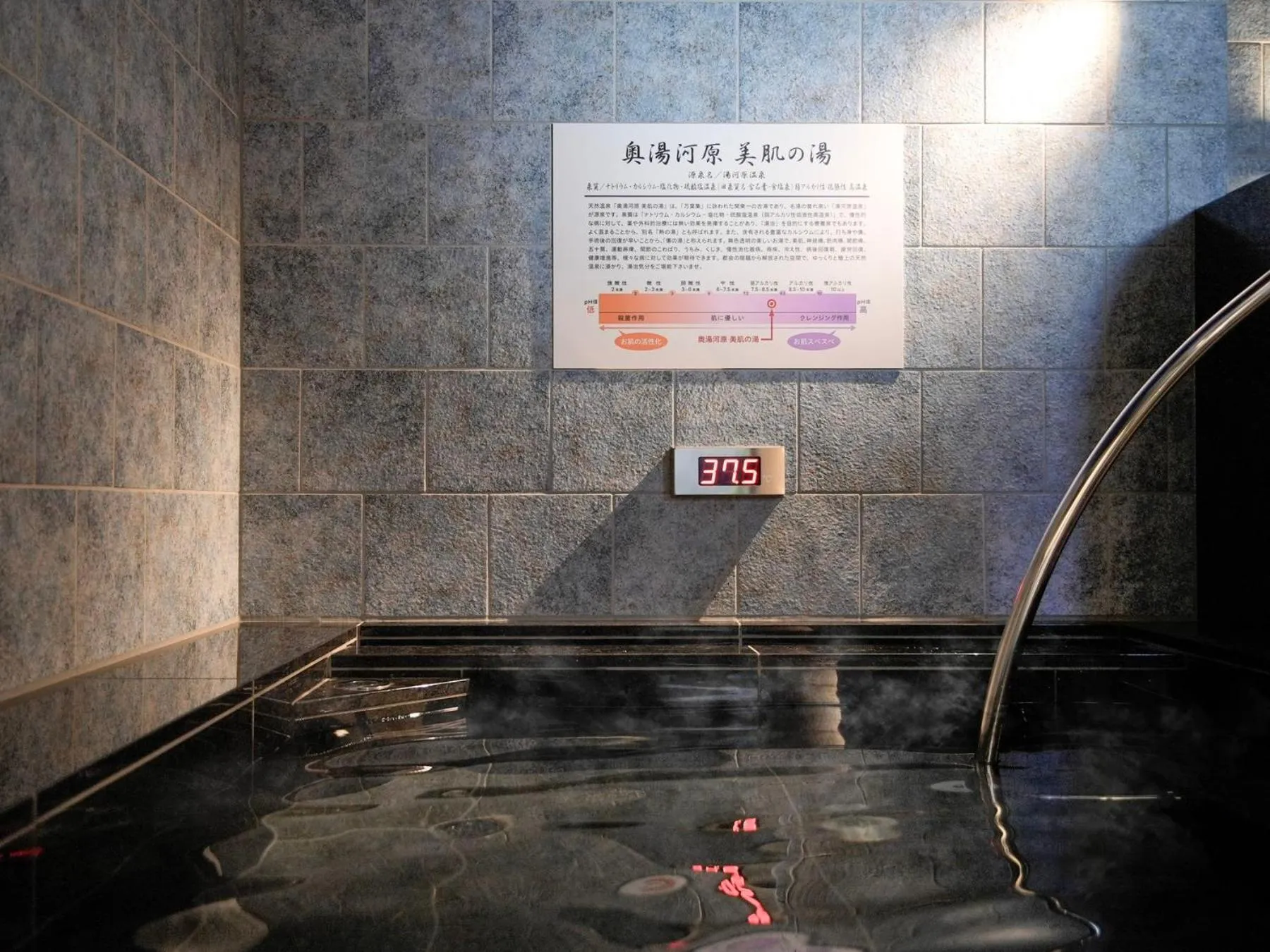 Hot Spring Bath in Super Hotel Premier Ikebukuro Natural Hot Spring