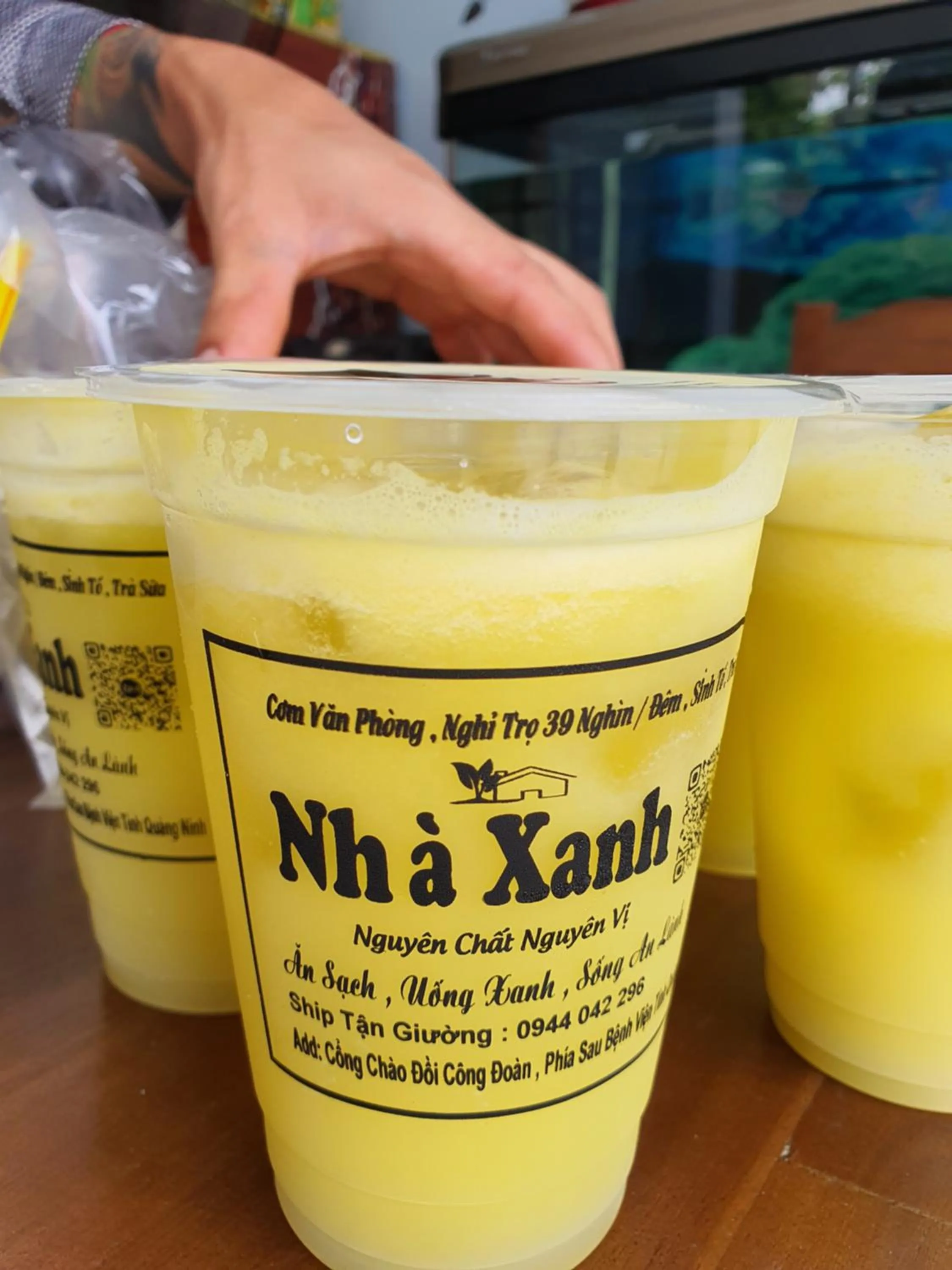 Nha Xanh Ha Long Homestay