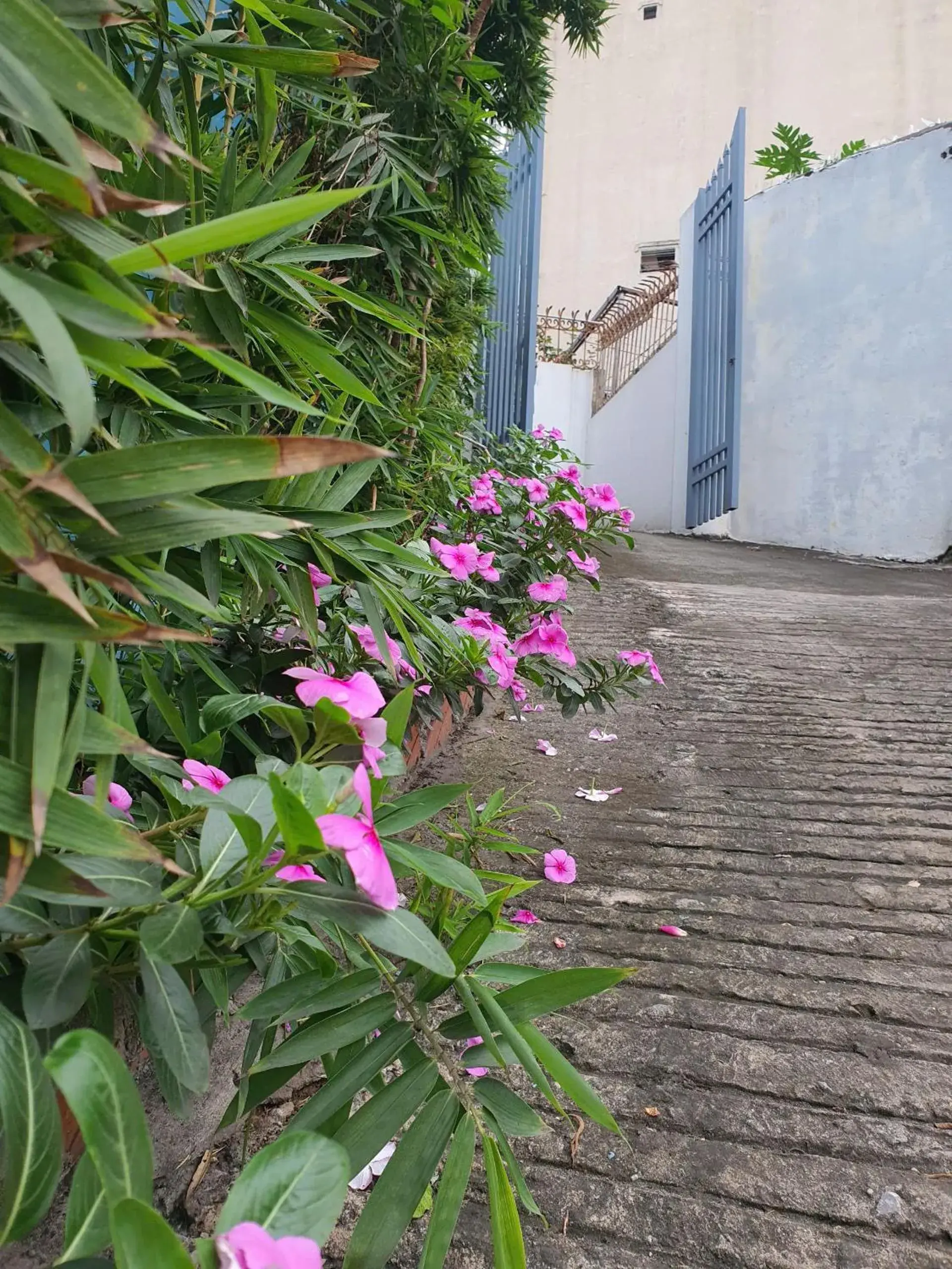 Double Room with Garden View in Nha Xanh Ha Long Homestay Double Room with Garden View in Nha Xanh Ha Long Homestay