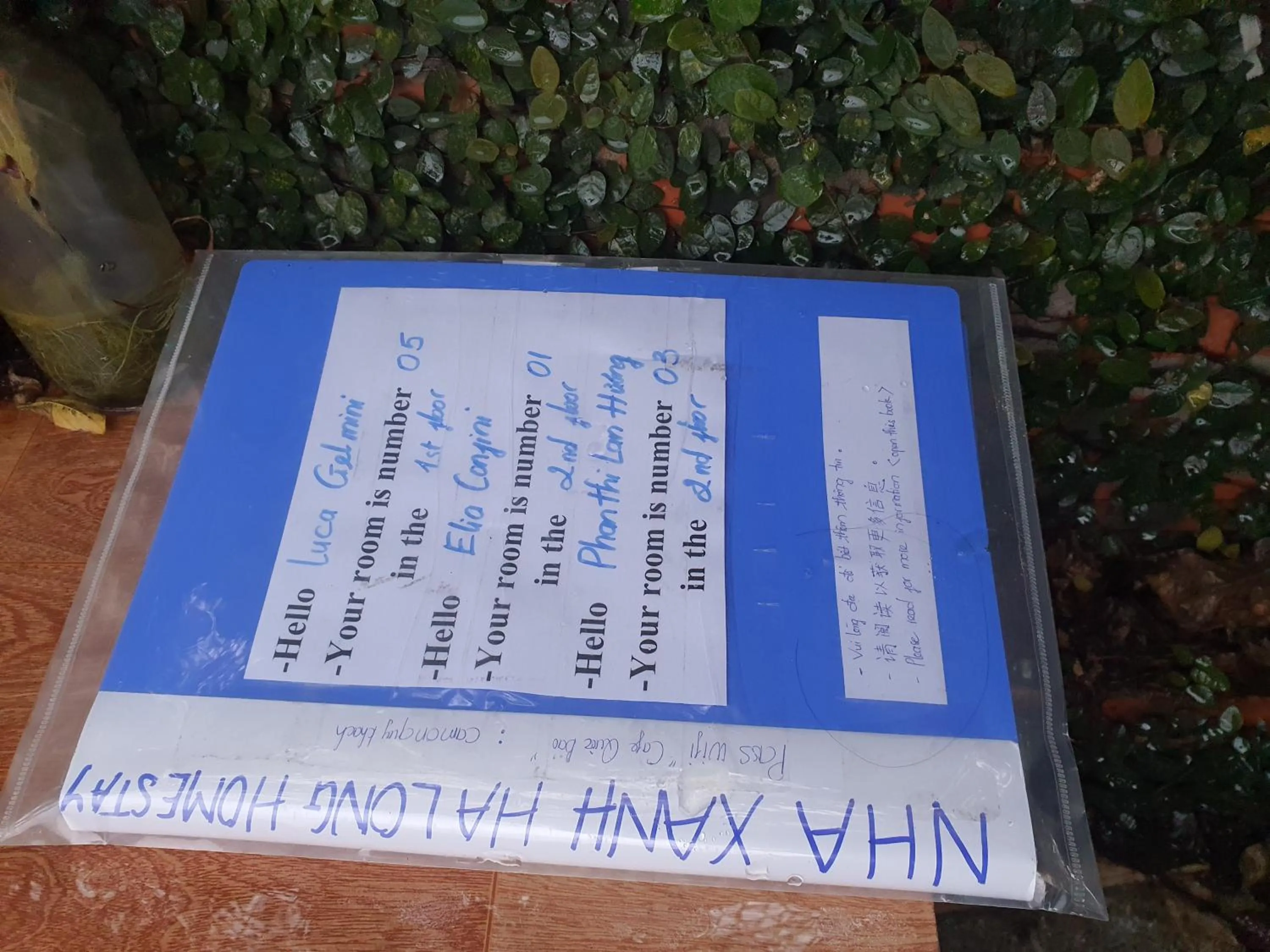 Nha Xanh Ha Long Homestay