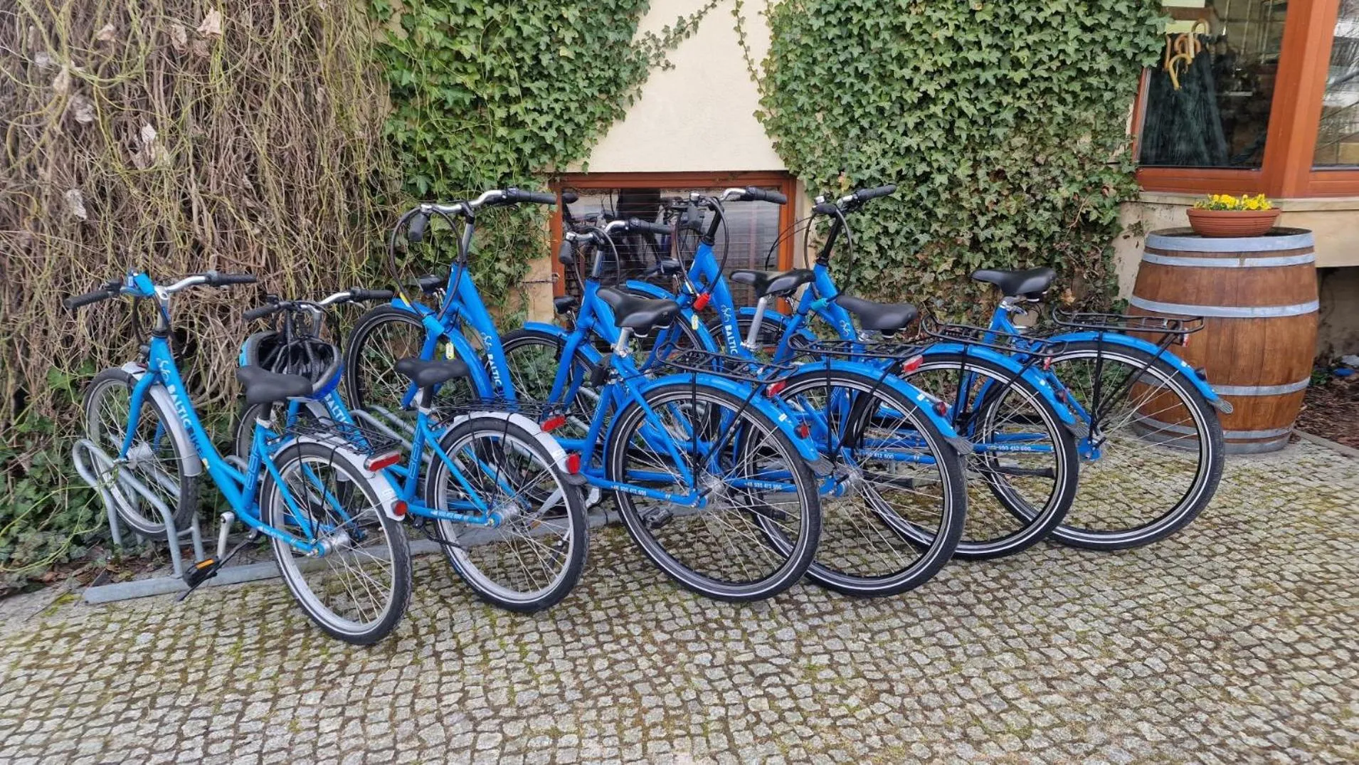 Cycling in Hotel Willa Lubicz