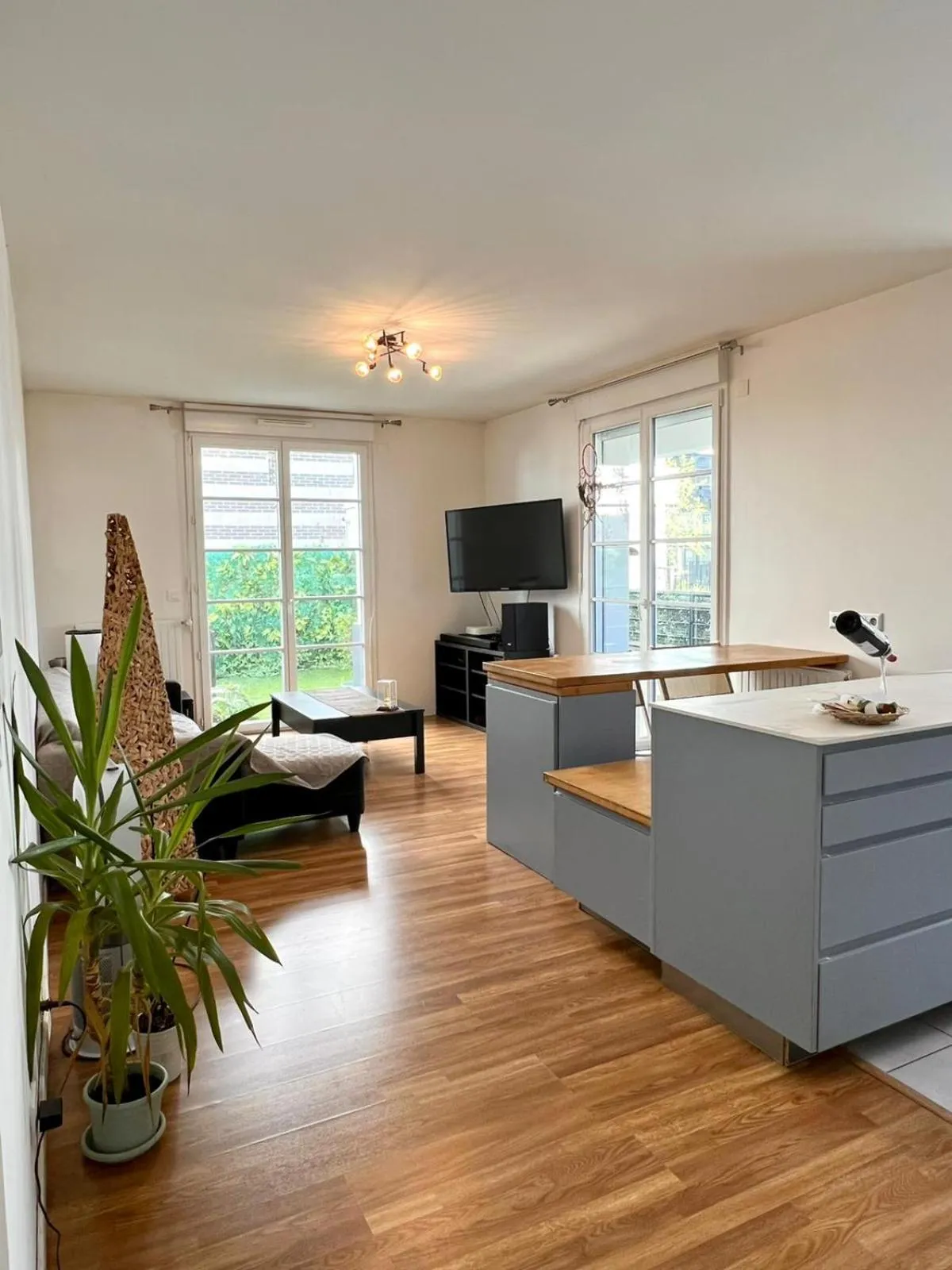 TV and multimedia in The Green Terrace Disneyland