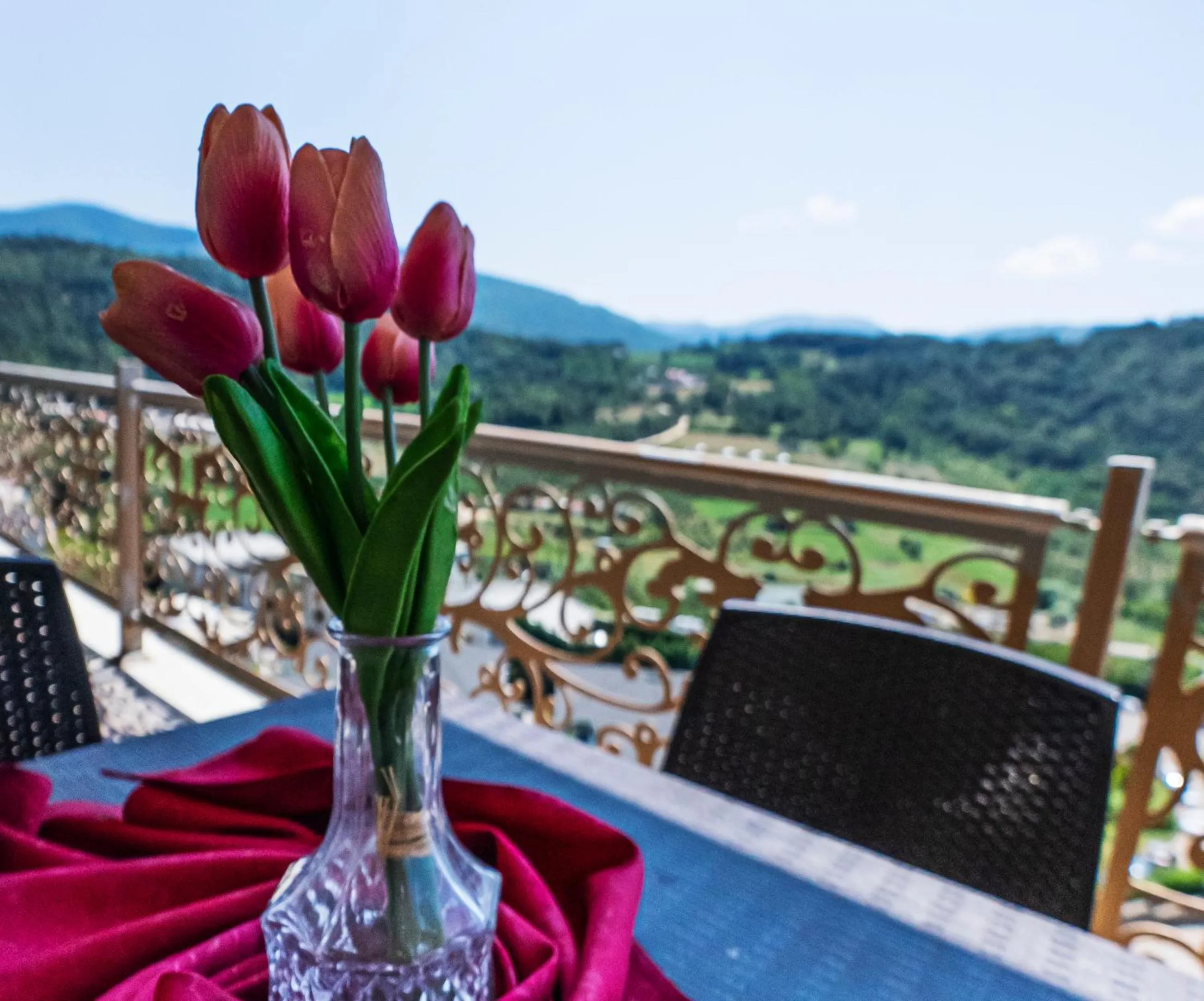 Balcony/Terrace in Sarot Thermal Palace Tatil Köyü - Halal Hotel