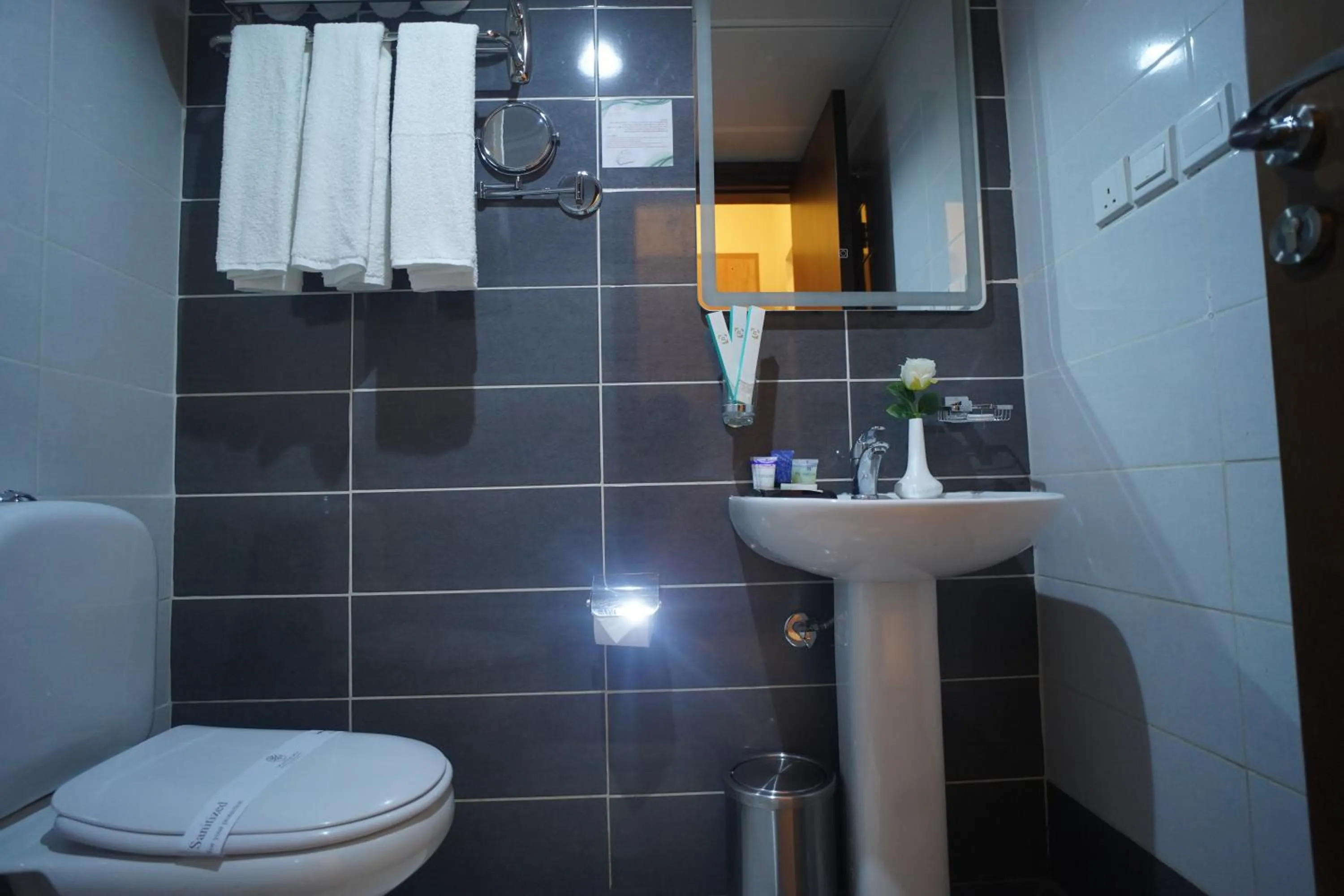 Shower in Emaar Andalusia