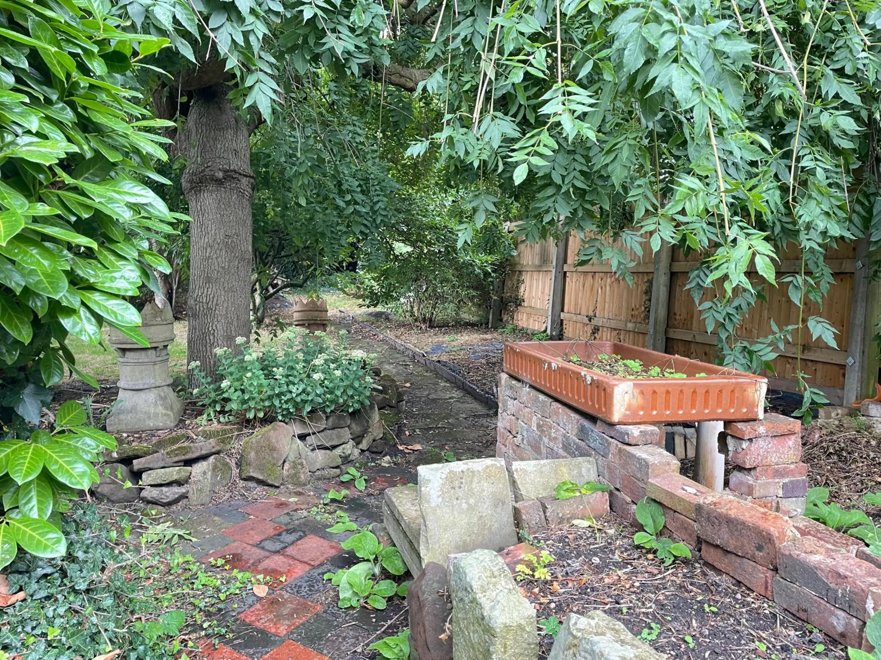 Garden in St Peter's Shared House
