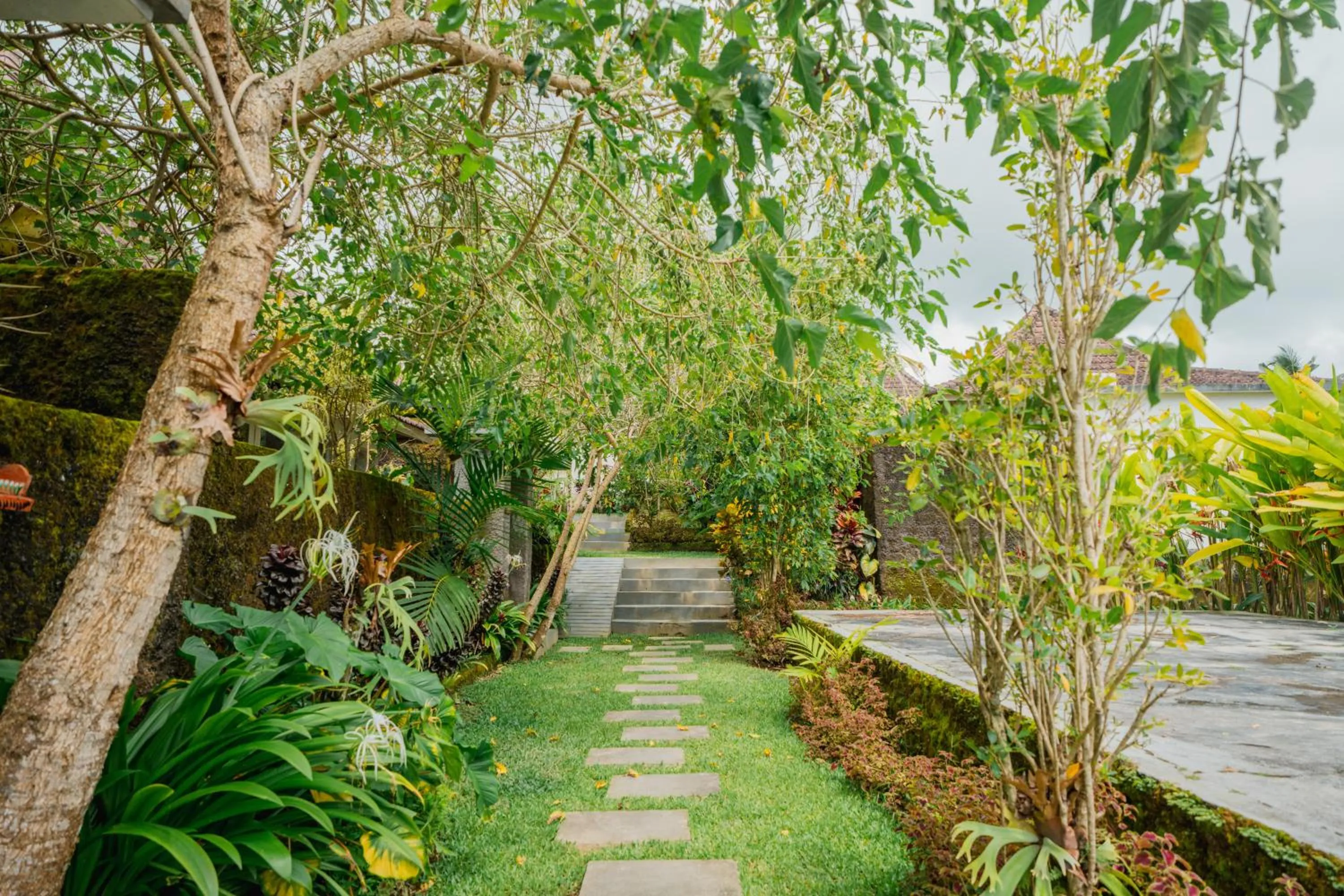 Garden in Tanta Escape