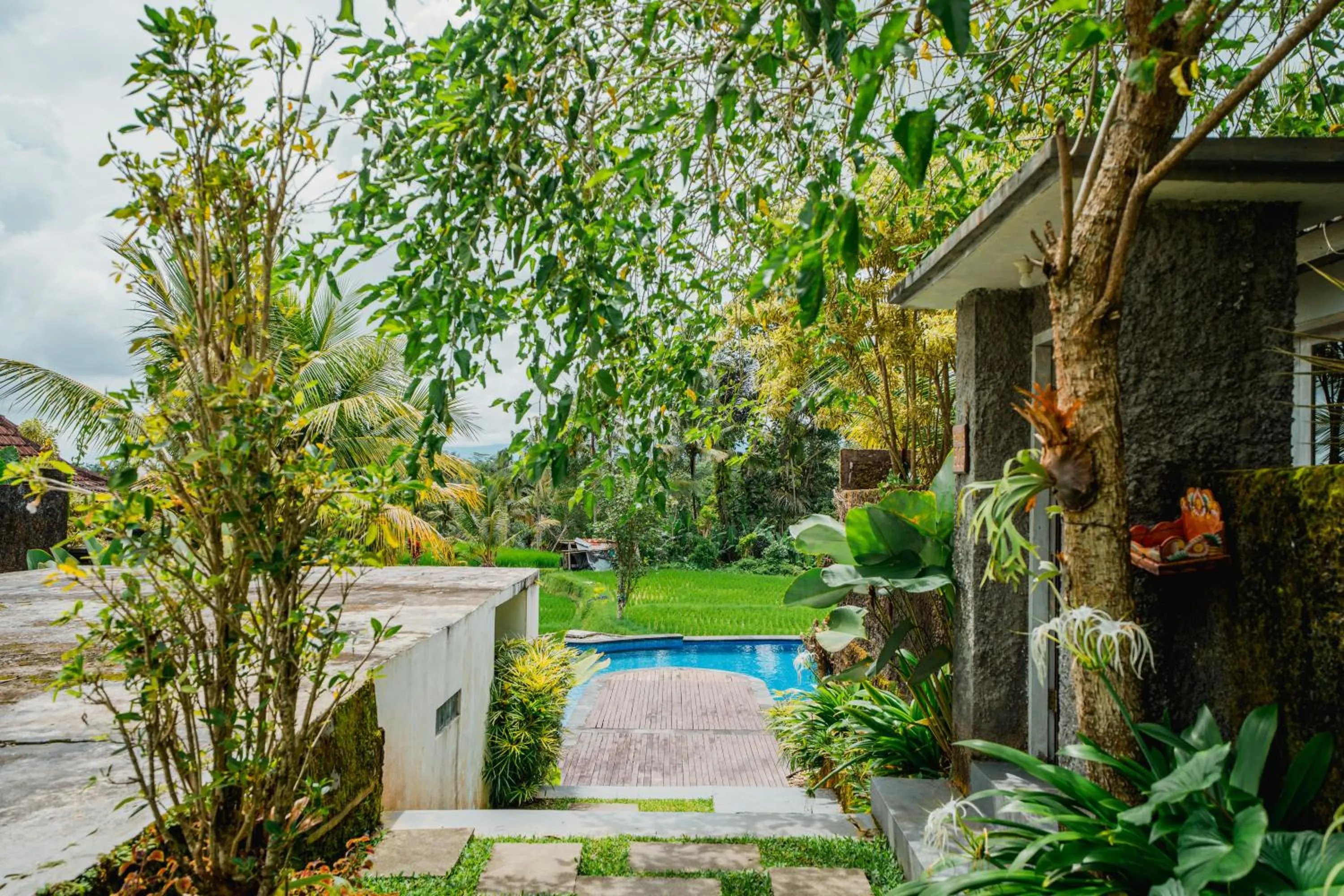 Property building in Tanta Escape