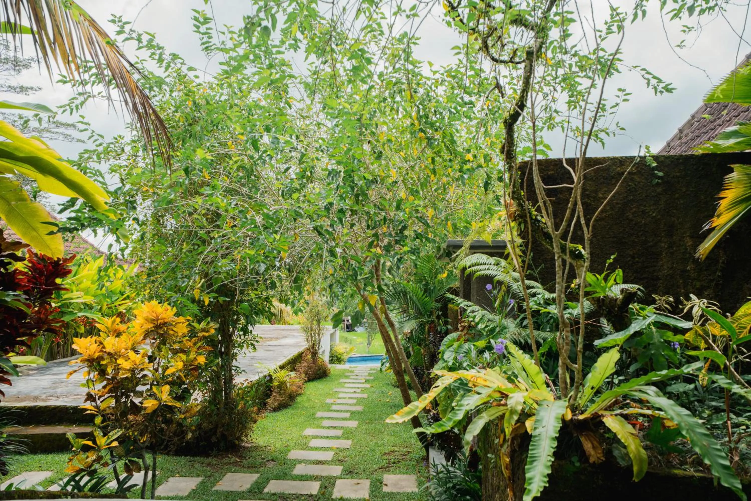 Garden in Tanta Escape