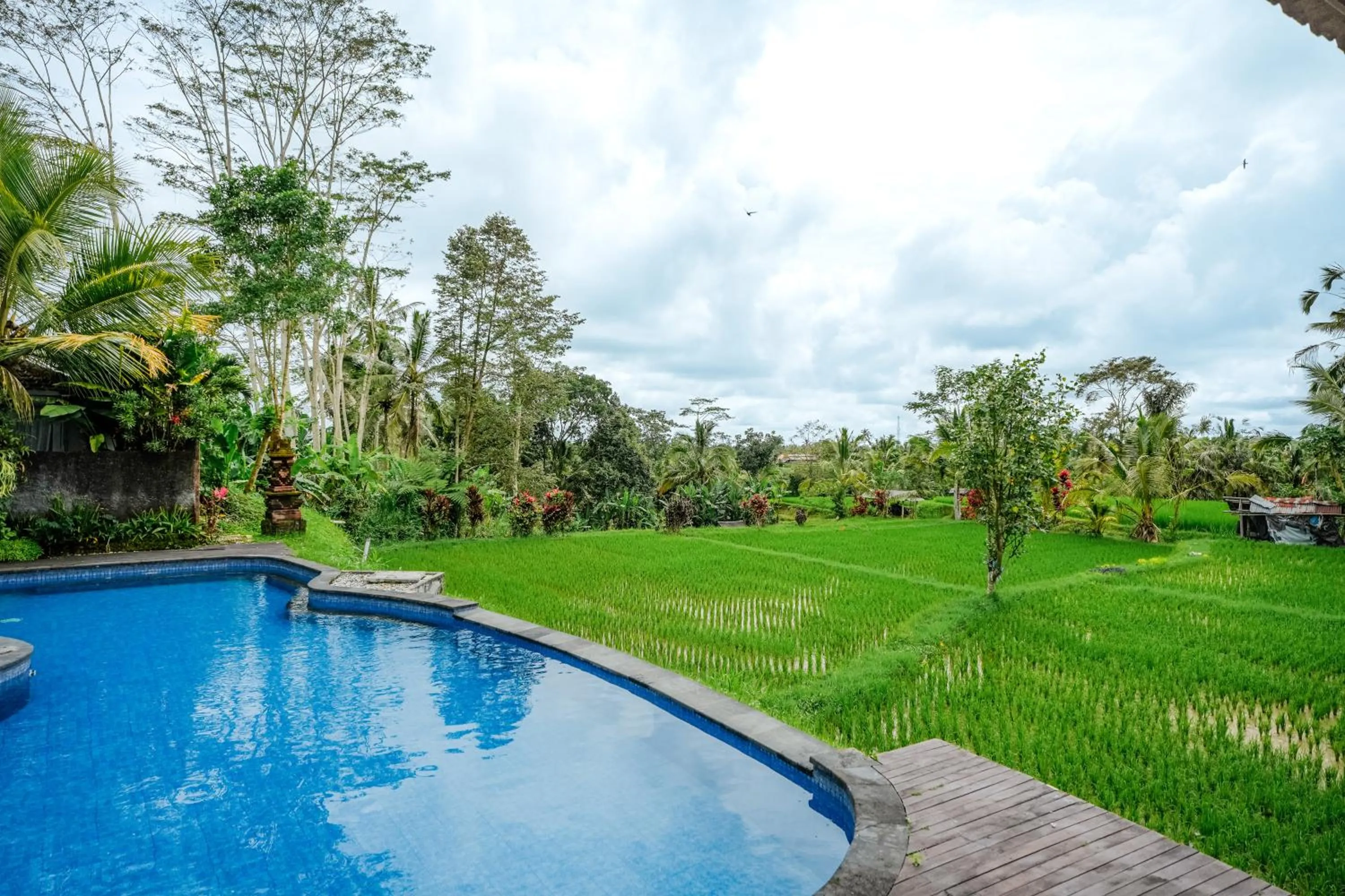 View (from property/room) in Tanta Escape