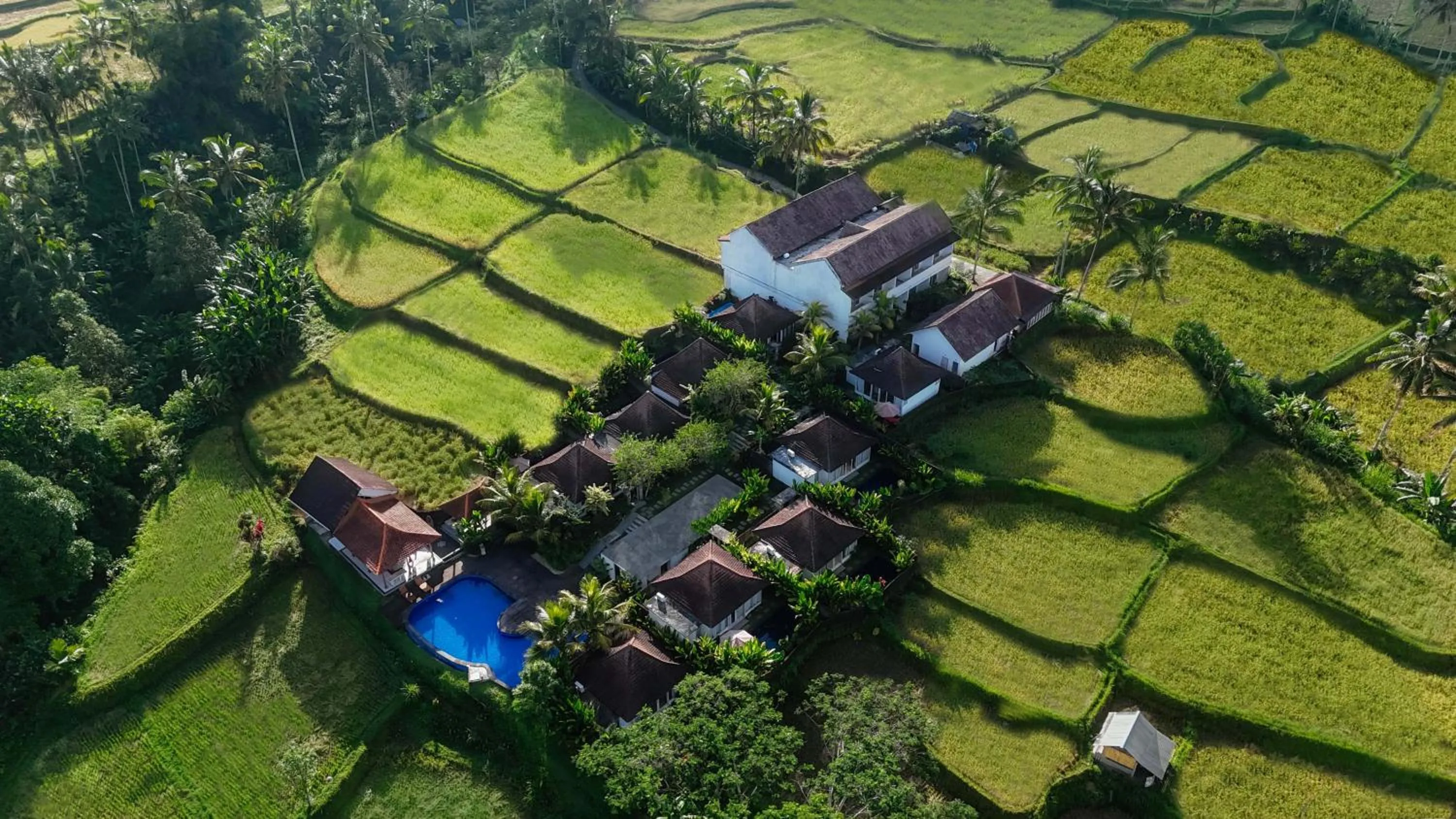 Property building in Tanta Escape