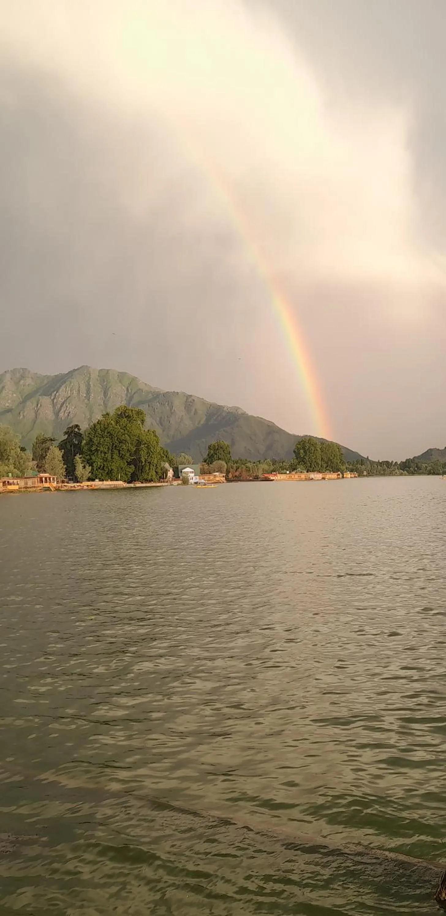 Palace Heights Houseboats