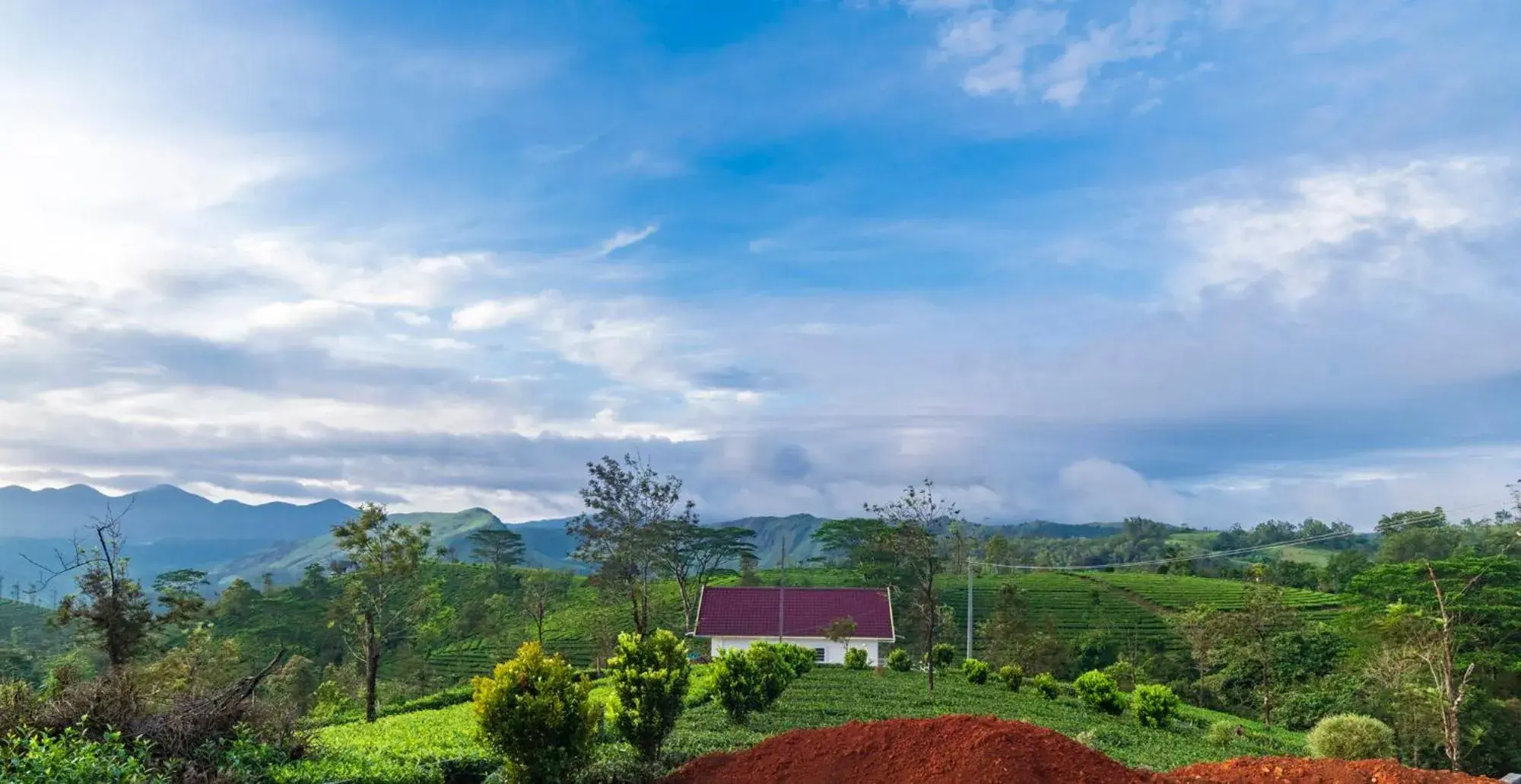 View (from property/room) in Pine Clough Resort Vagamon View (from property/room) in Pine Clough Resort Vagamon
