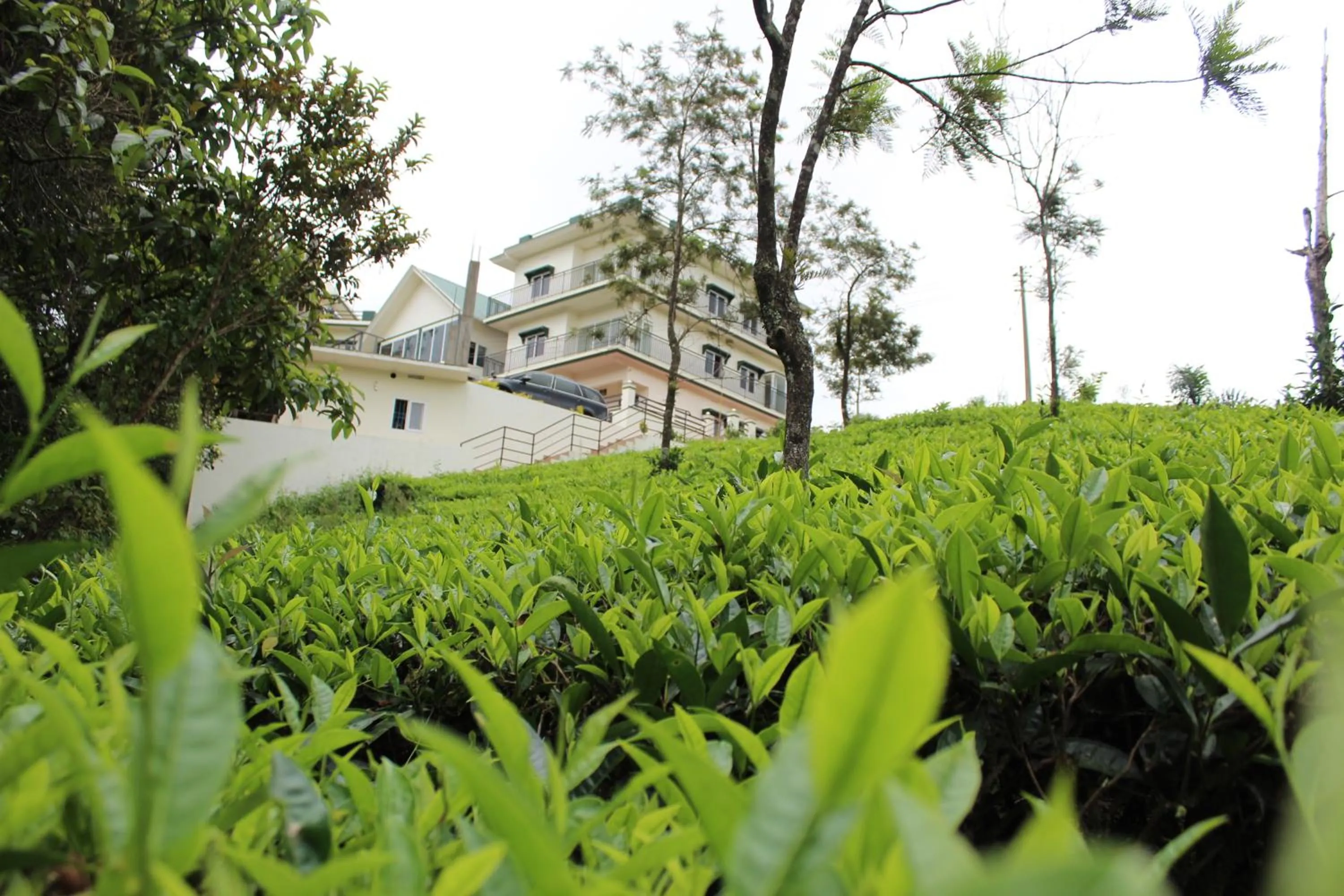 Property building in Pine Clough Resort Vagamon