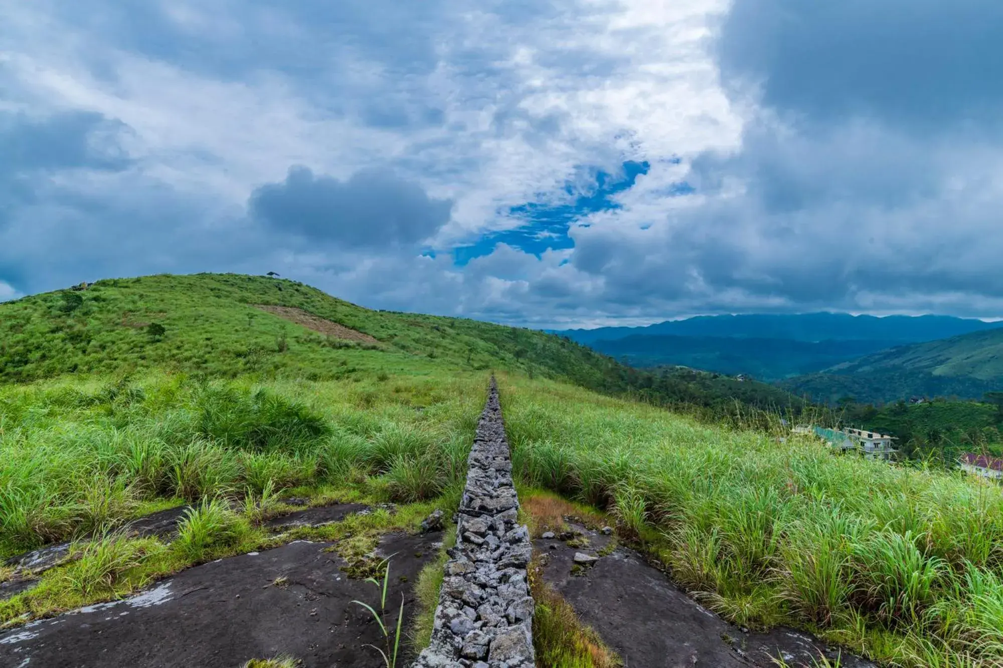 View (from property/room) in Pine Clough Resort Vagamon View (from property/room) in Pine Clough Resort Vagamon