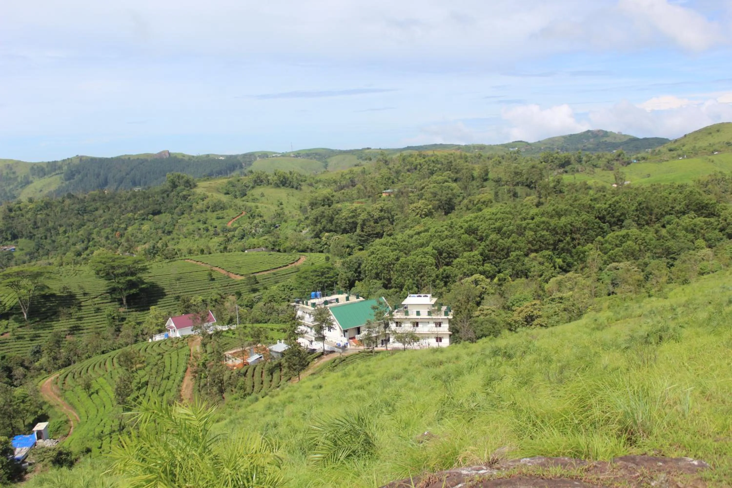 Natural landscape in Pine Clough Resort Vagamon