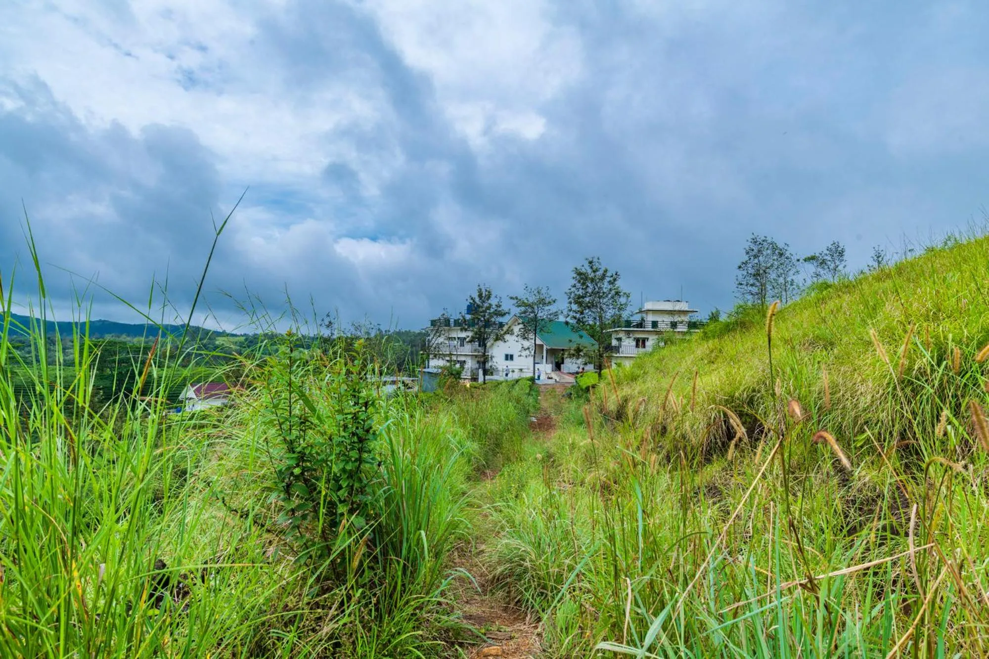 View (from property/room) in Pine Clough Resort Vagamon