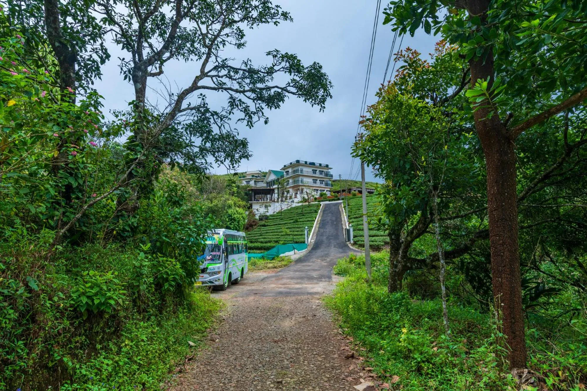 Property building in Pine Clough Resort Vagamon