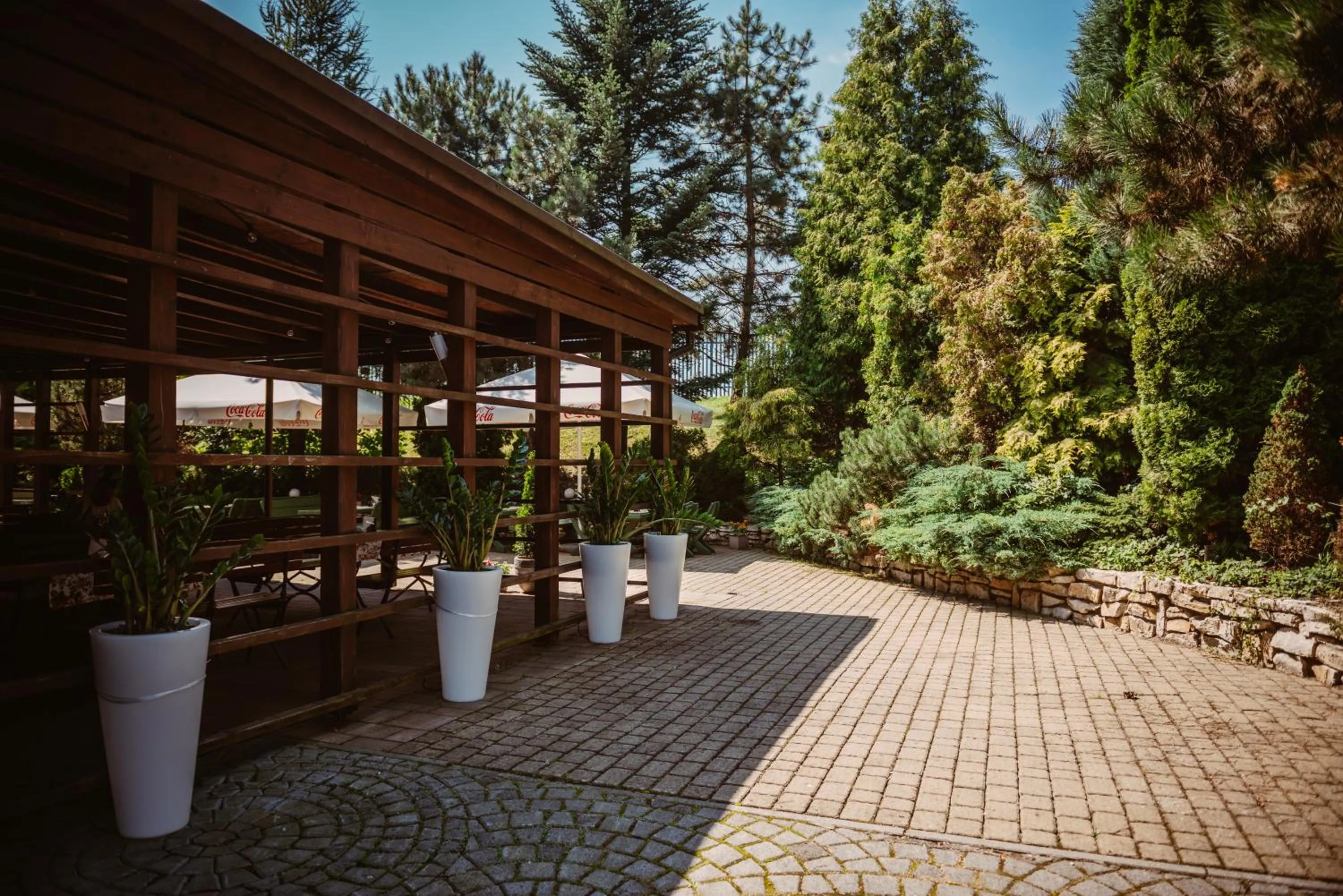 Natural landscape in Zajazd Srebrna Gora