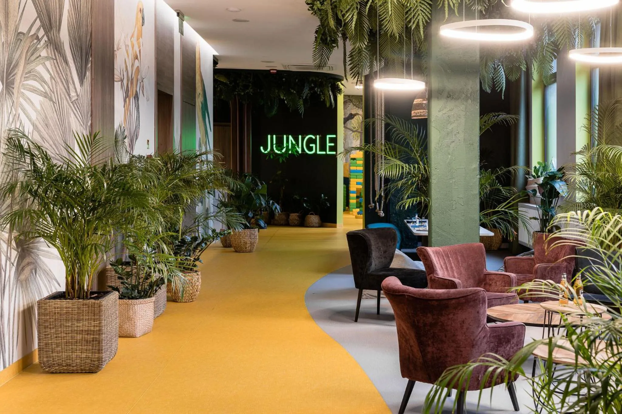 Windsurfing in Hotel Astor