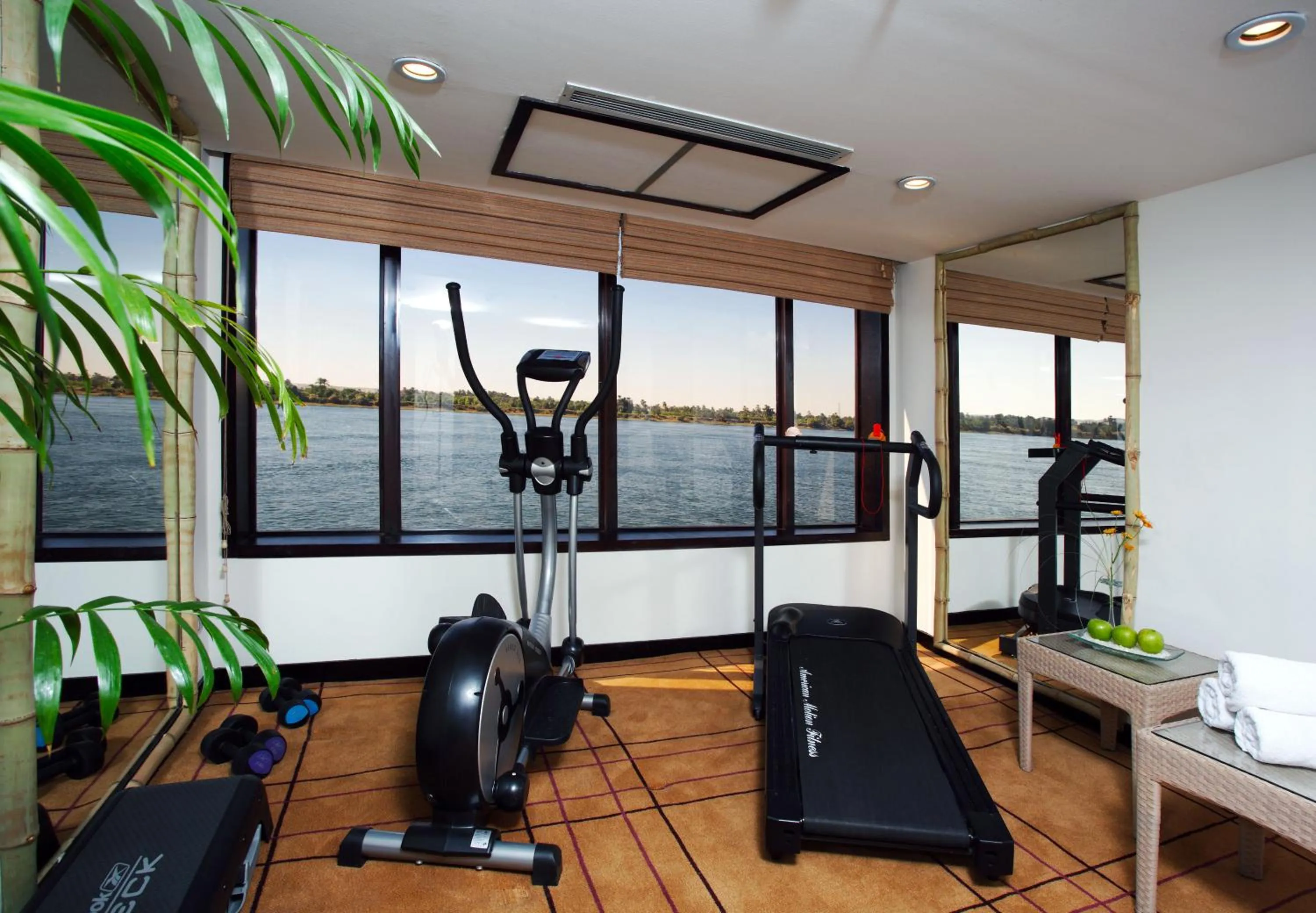 Fitness centre/facilities in Mövenpick Prince Abbas Lake Nasser Cruise, Every Monday Four Nights From Aswan, Every Friday Three nights From Abu-Simbel - Including Excursions and Sightseeing