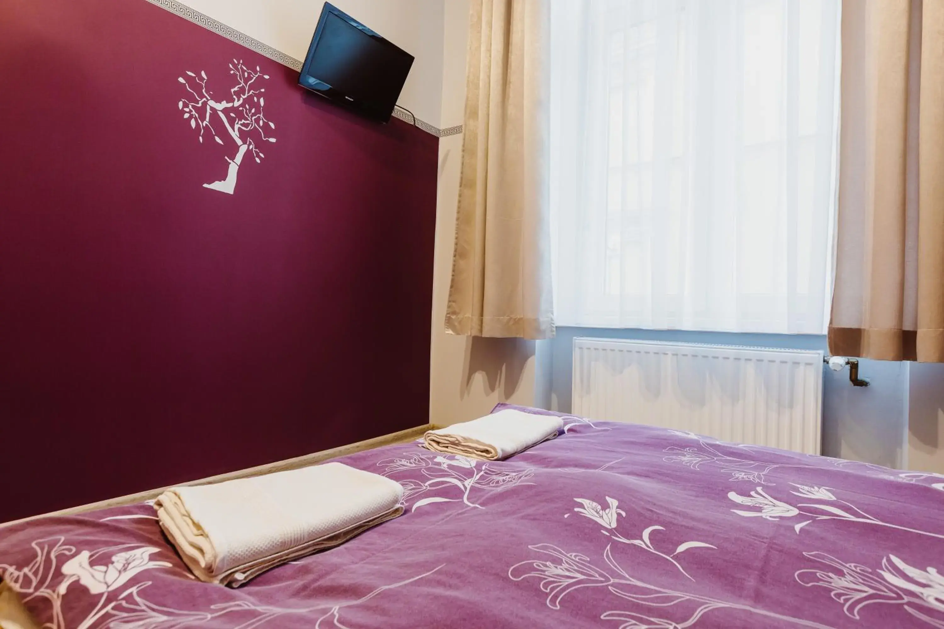 Double Room in Hostel Tara Double Room in Hostel Tara