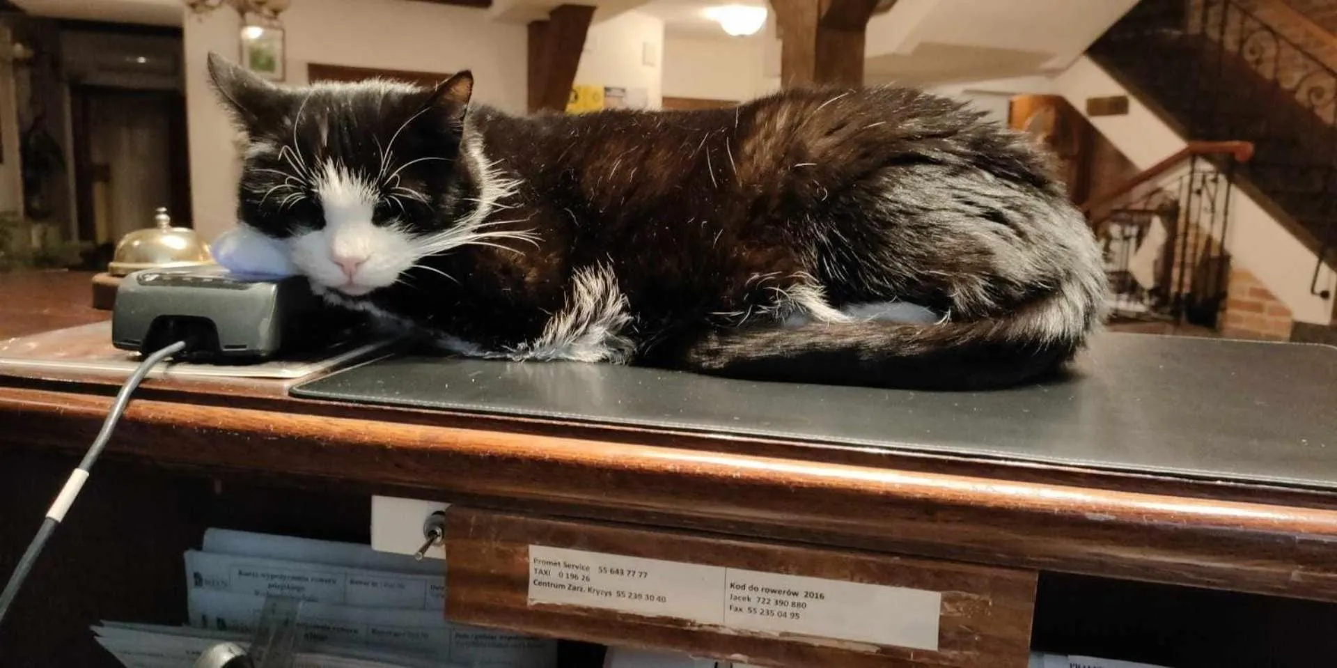 Pets in Hotel Młyn Aqua Spa