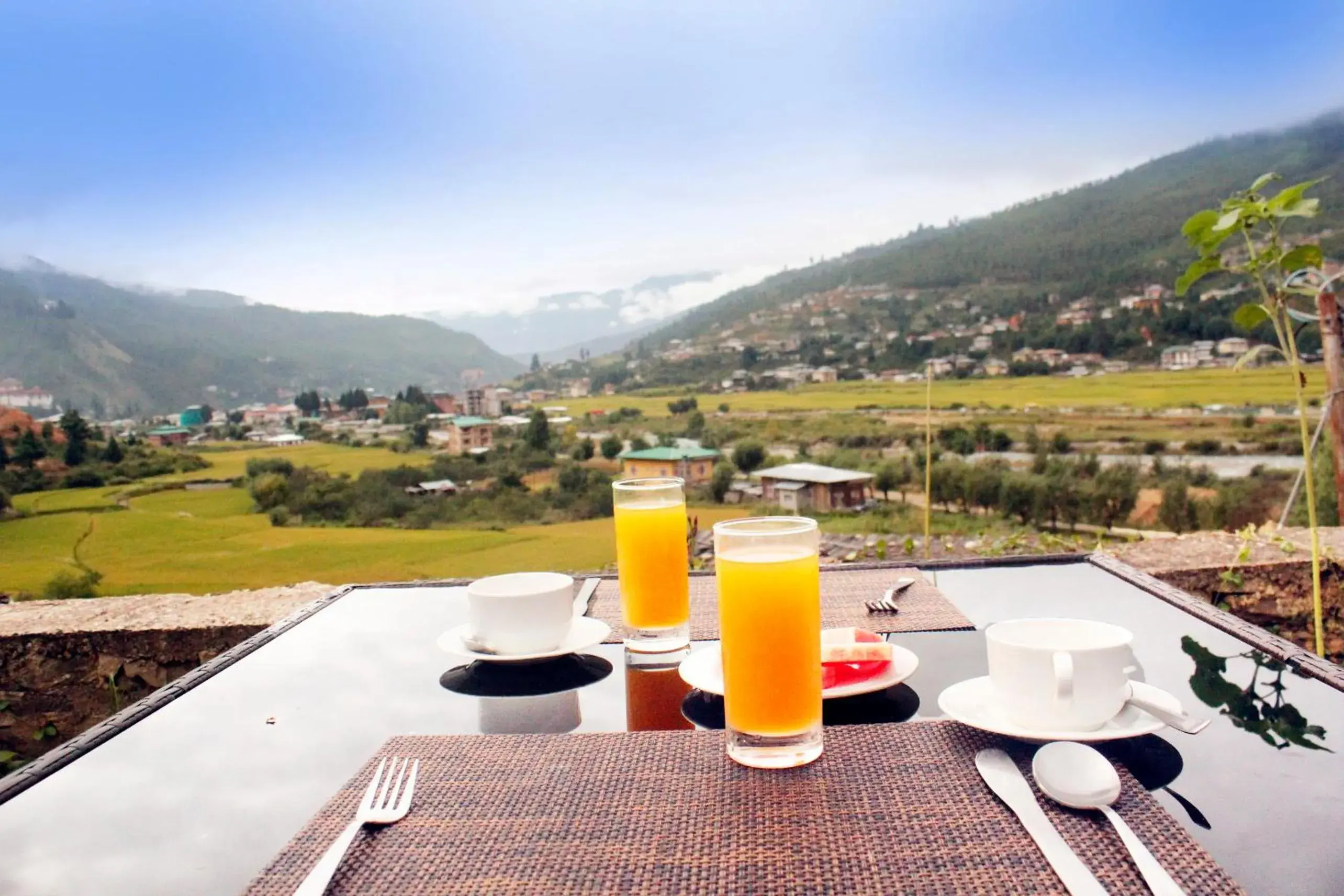 Food in Rema Resort Food in Rema Resort