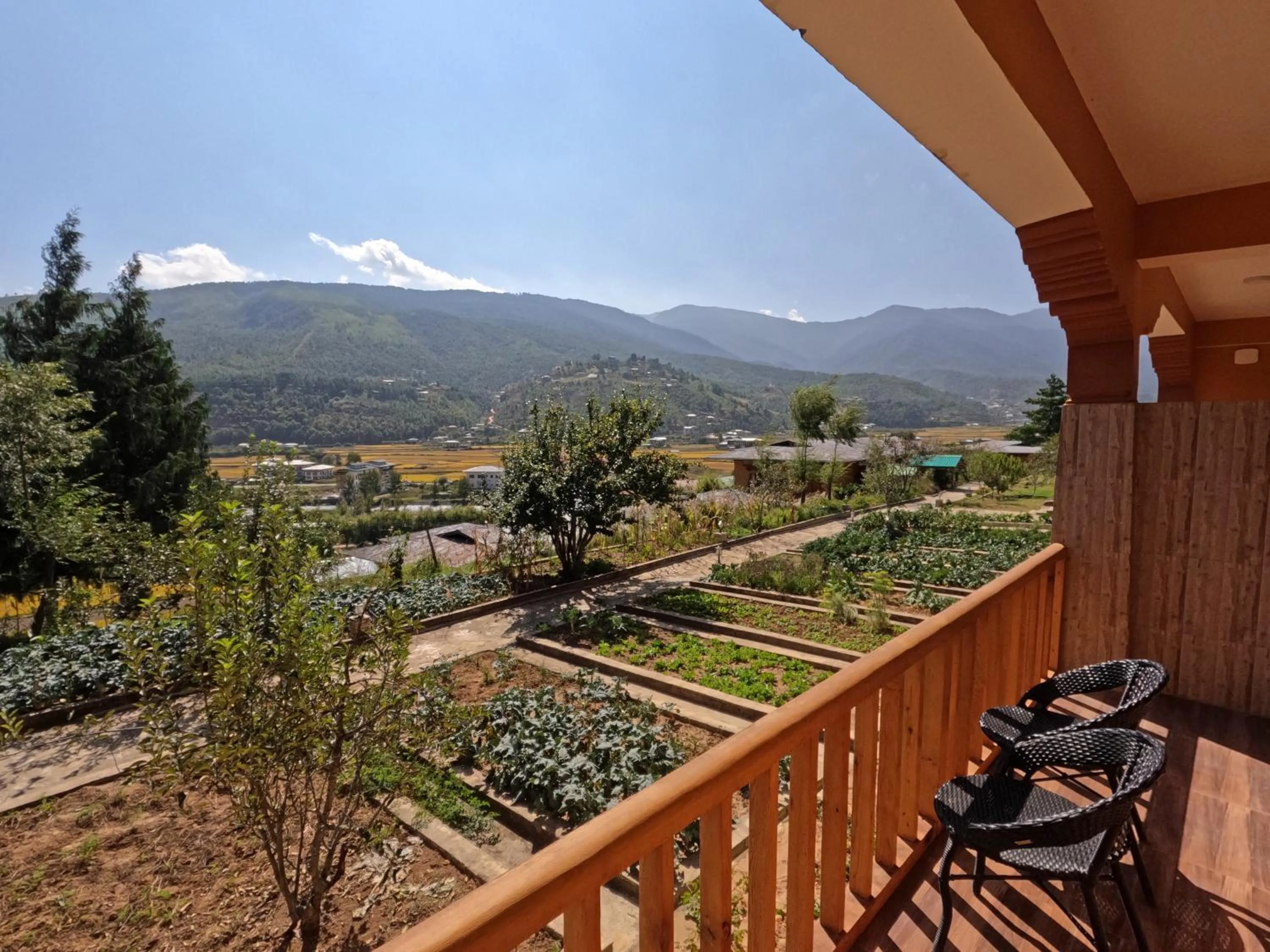 Natural landscape in Rema Resort