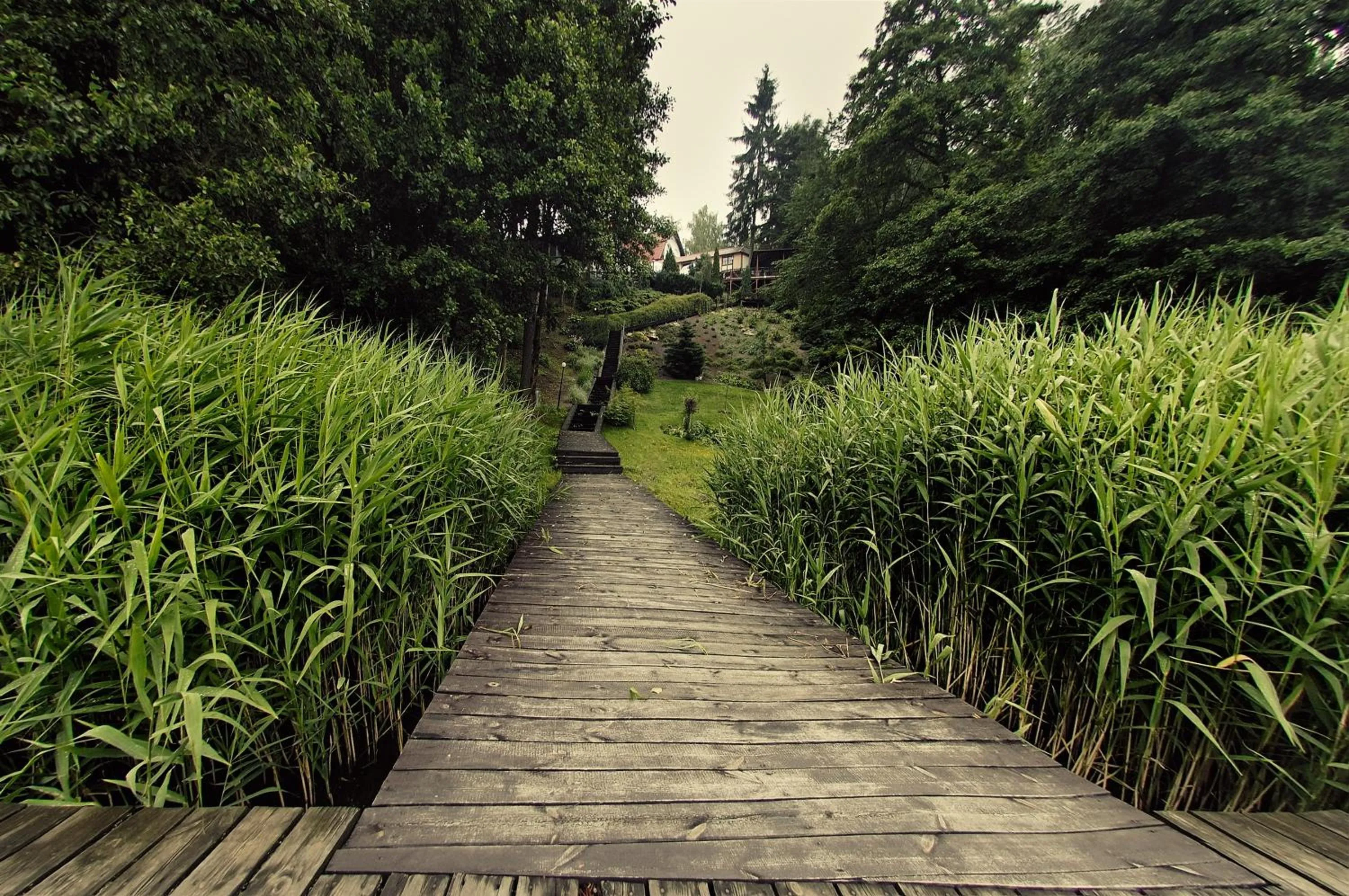 Garden in Hotel Anders