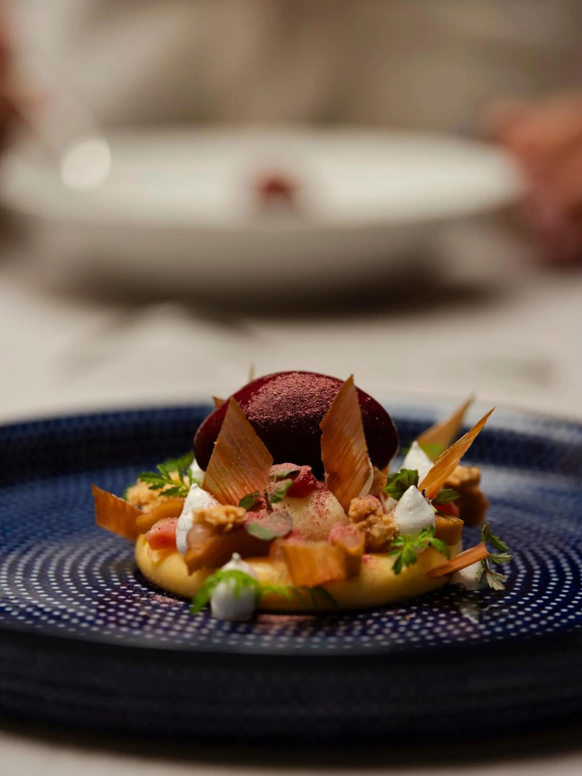 Restaurant/places to eat in Hotel Copernicus