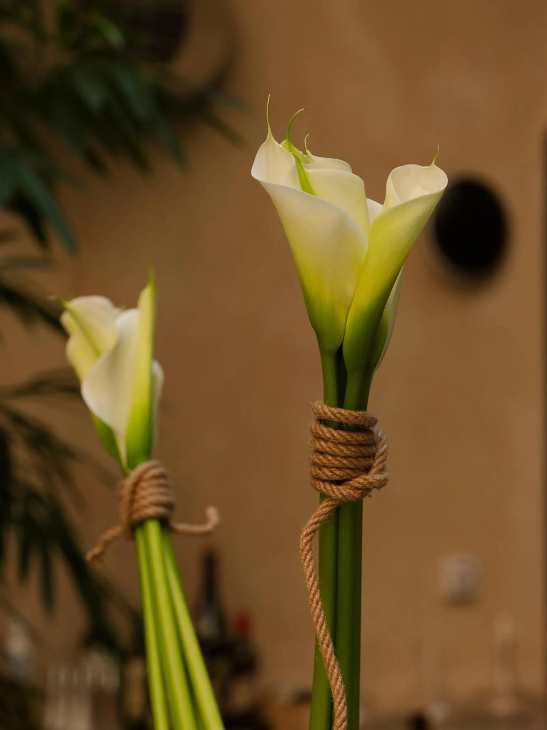 Decorative detail in Hotel Copernicus
